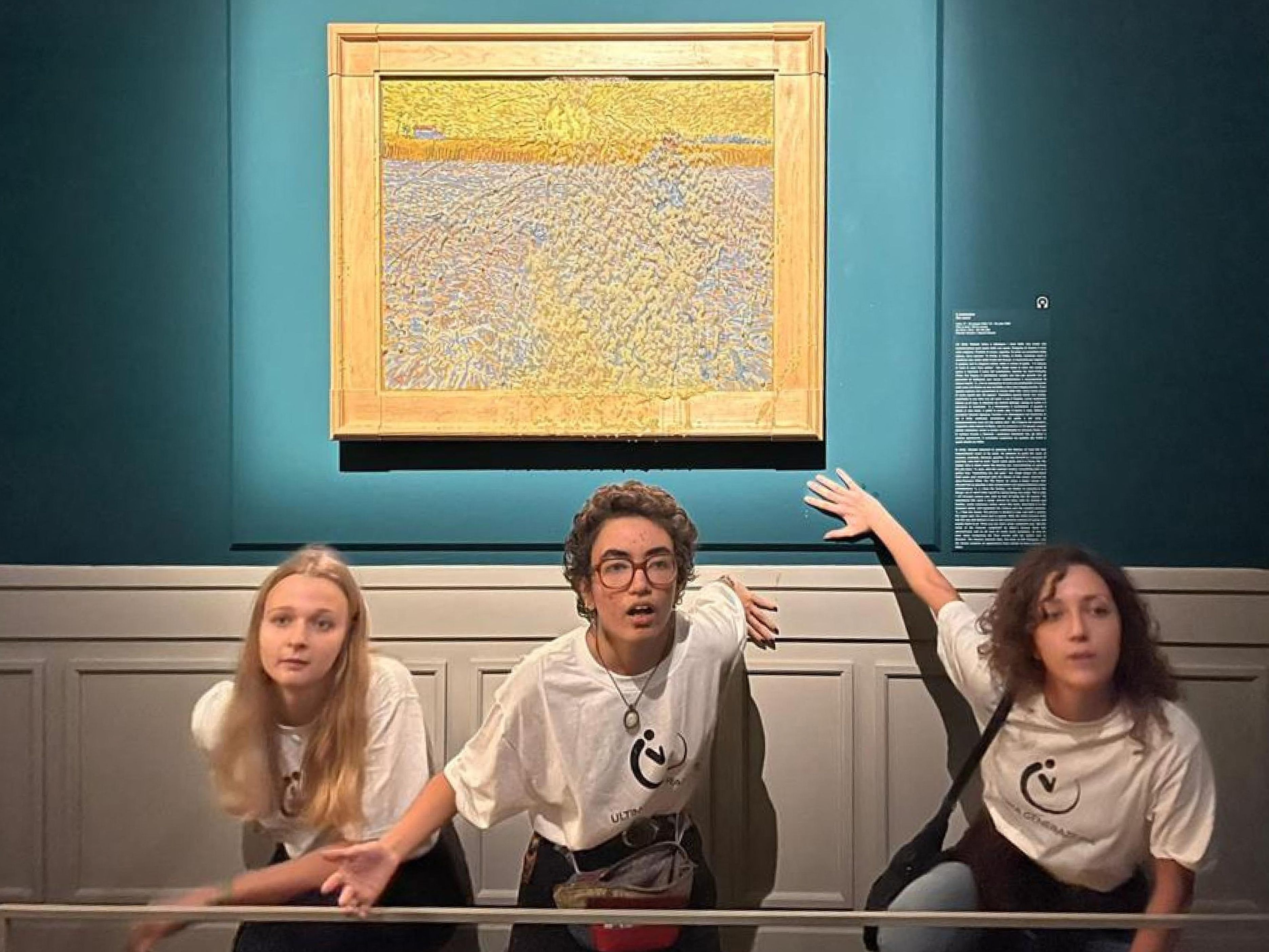 Vier italienische Klima-Aktivisten wurden angezeigt, weil sie ein Van Gogh-Gemälde mit Erbsensuppe überschüttet haben.