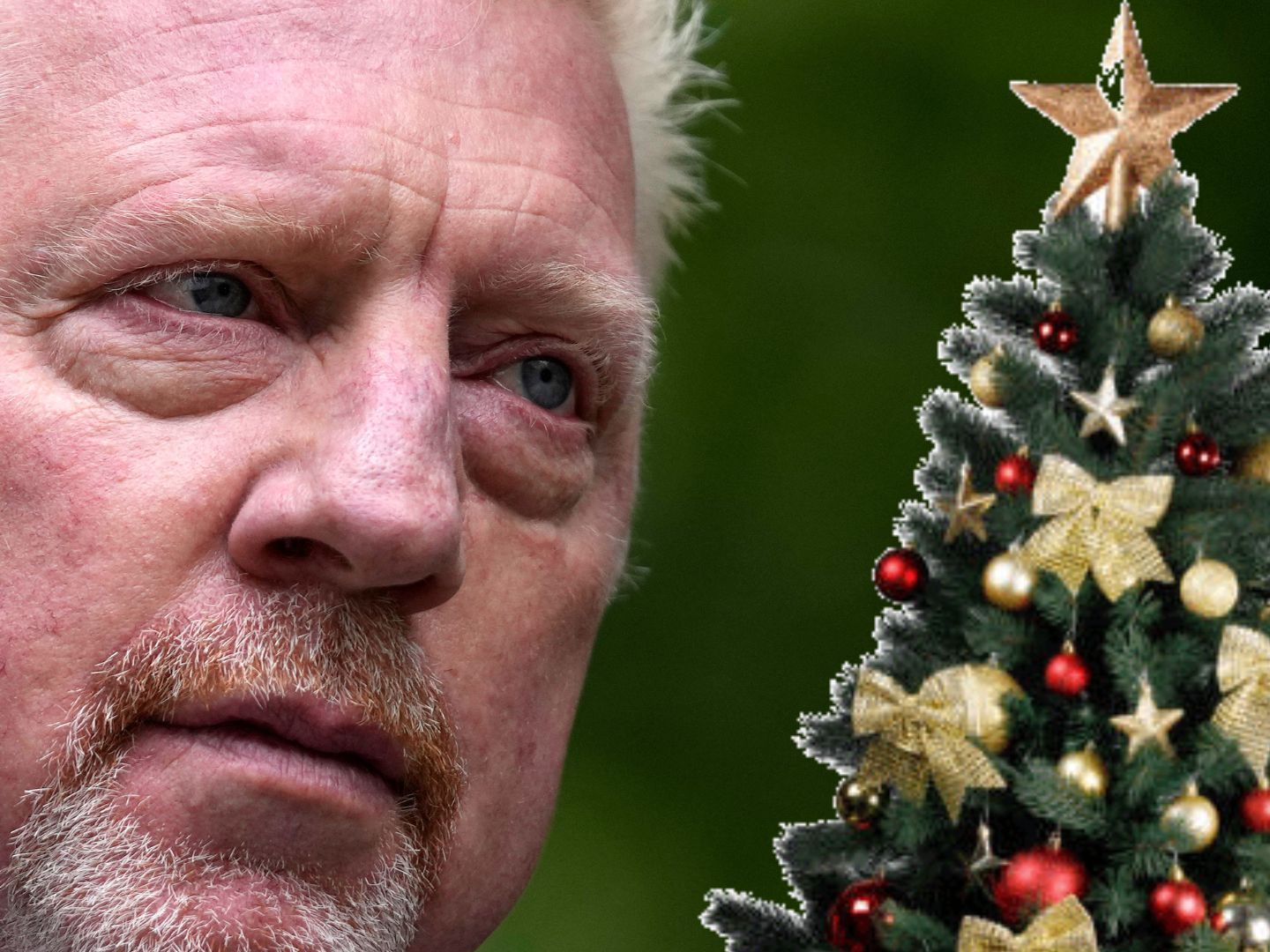 Weihnachten in Freiheit? Für Boris Becker recht wahrscheinlich. Weihnachten in Freiheit? Für Boris Becker recht wahrscheinlich.