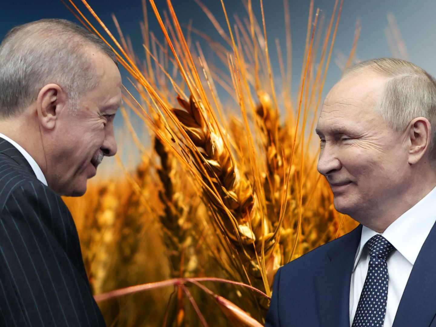 Putin und Erdogan wollen kostenloses Getreide nach Dschibuti, Somalia und in den Sudan schicken.