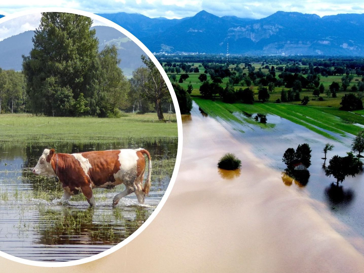 Gemeinsame Ausstellung von KlimaVOR!, Camera Club Sparkasse Bregenz und Naturfreunde Dornbirn von 21. November bis 11. Dezember. Gemeinsame Ausstellung von KlimaVOR!, Camera Club Sparkasse Bregenz und Naturfreunde Dornbirn von 21. November bis 11. Dezember.