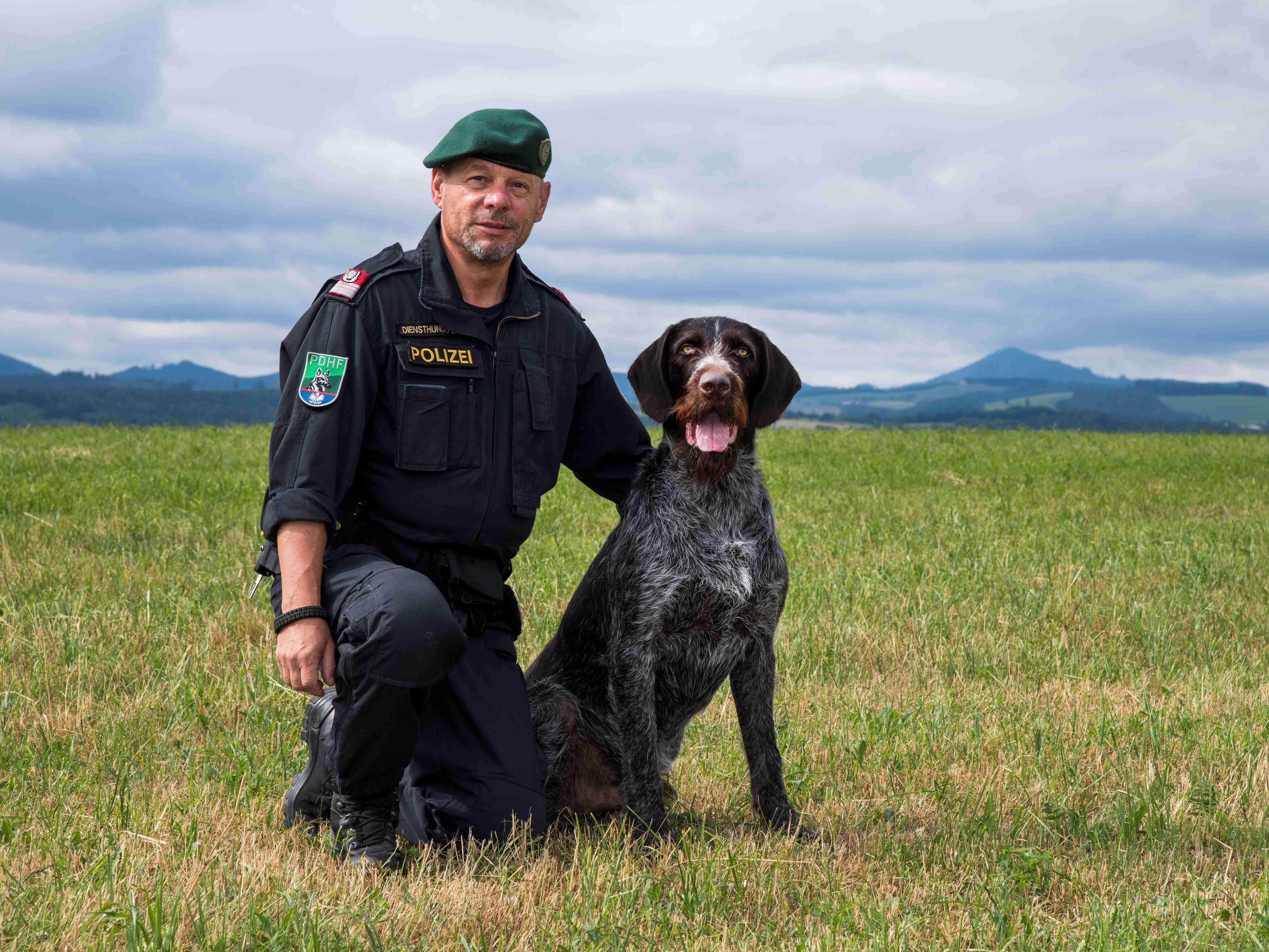 Polizeihund "Odin" spürte vermissten 81-Jährigen in NÖ auf. Polizeihund "Odin" spürte vermissten 81-Jährigen in NÖ auf.