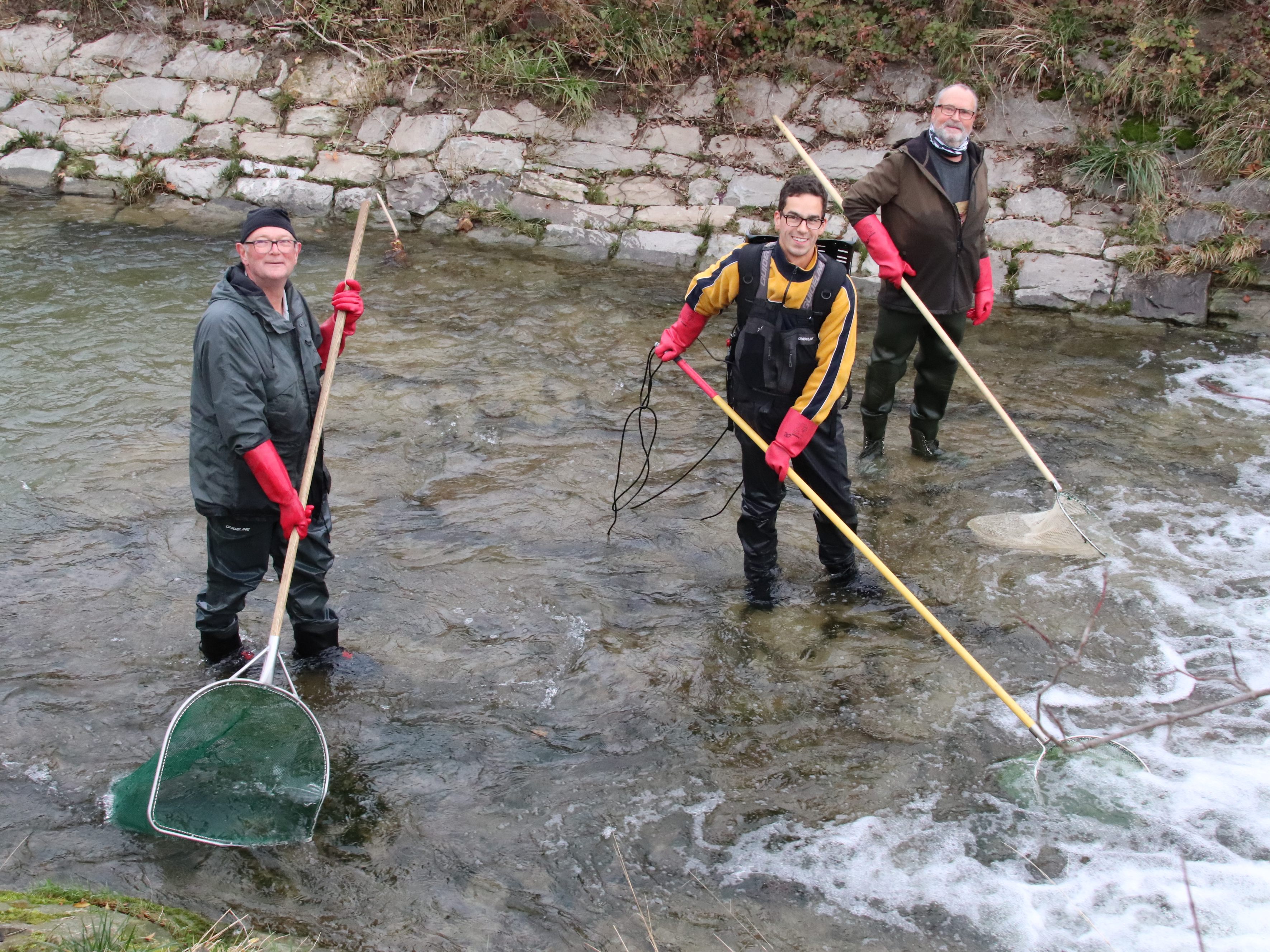Im rund 5 Grad kalten Wasser spüren Peter Mayrhofer, Philipp Roschmann und Veit Strobl die großen Exemplare auf. Im rund 5 Grad kalten Wasser spüren Peter Mayrhofer, Philipp Roschmann und Veit Strobl die großen Exemplare auf.