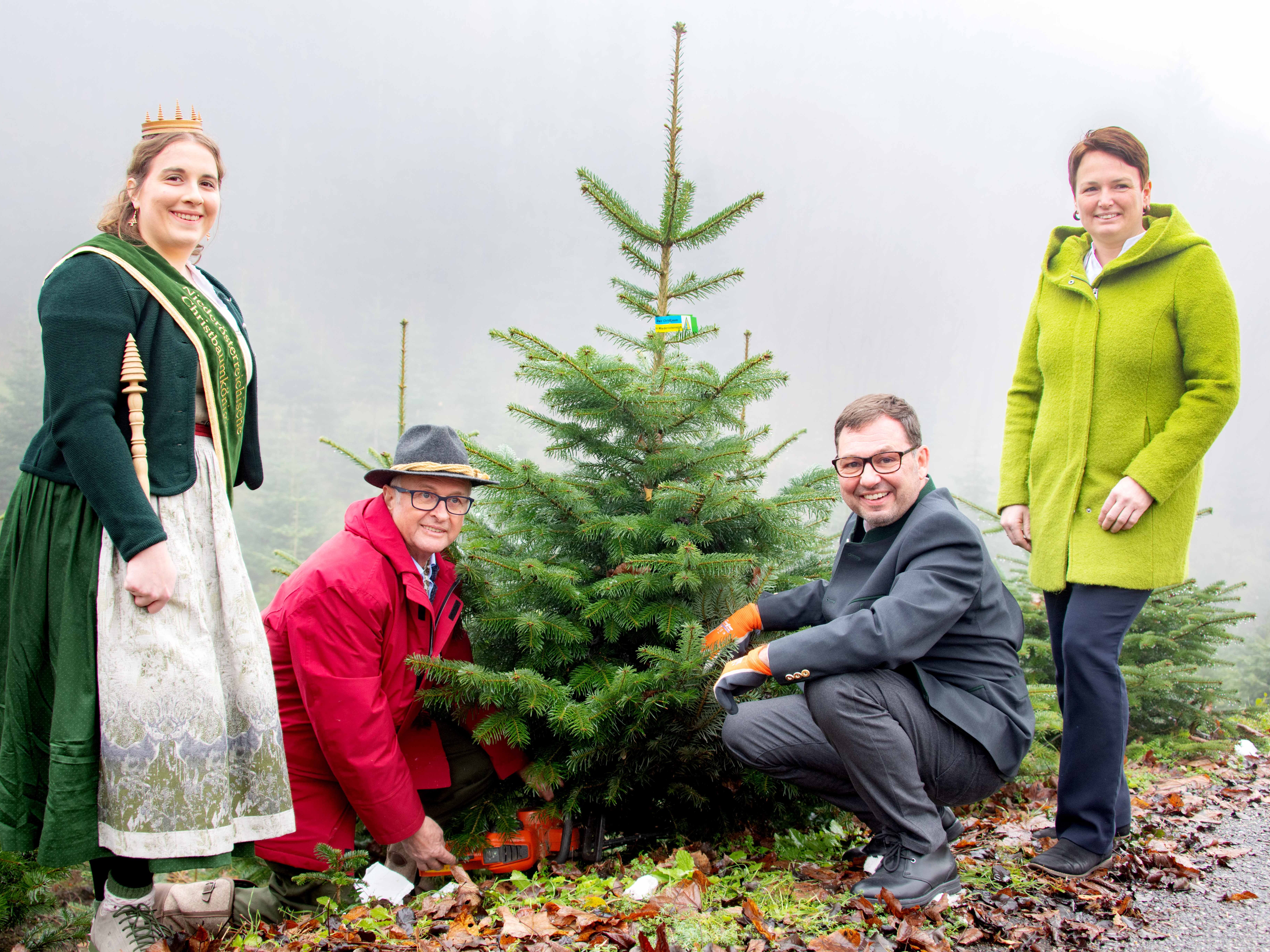 In Niederösterreich startet die Christbaumsaison 2022. In Niederösterreich startet die Christbaumsaison 2022.