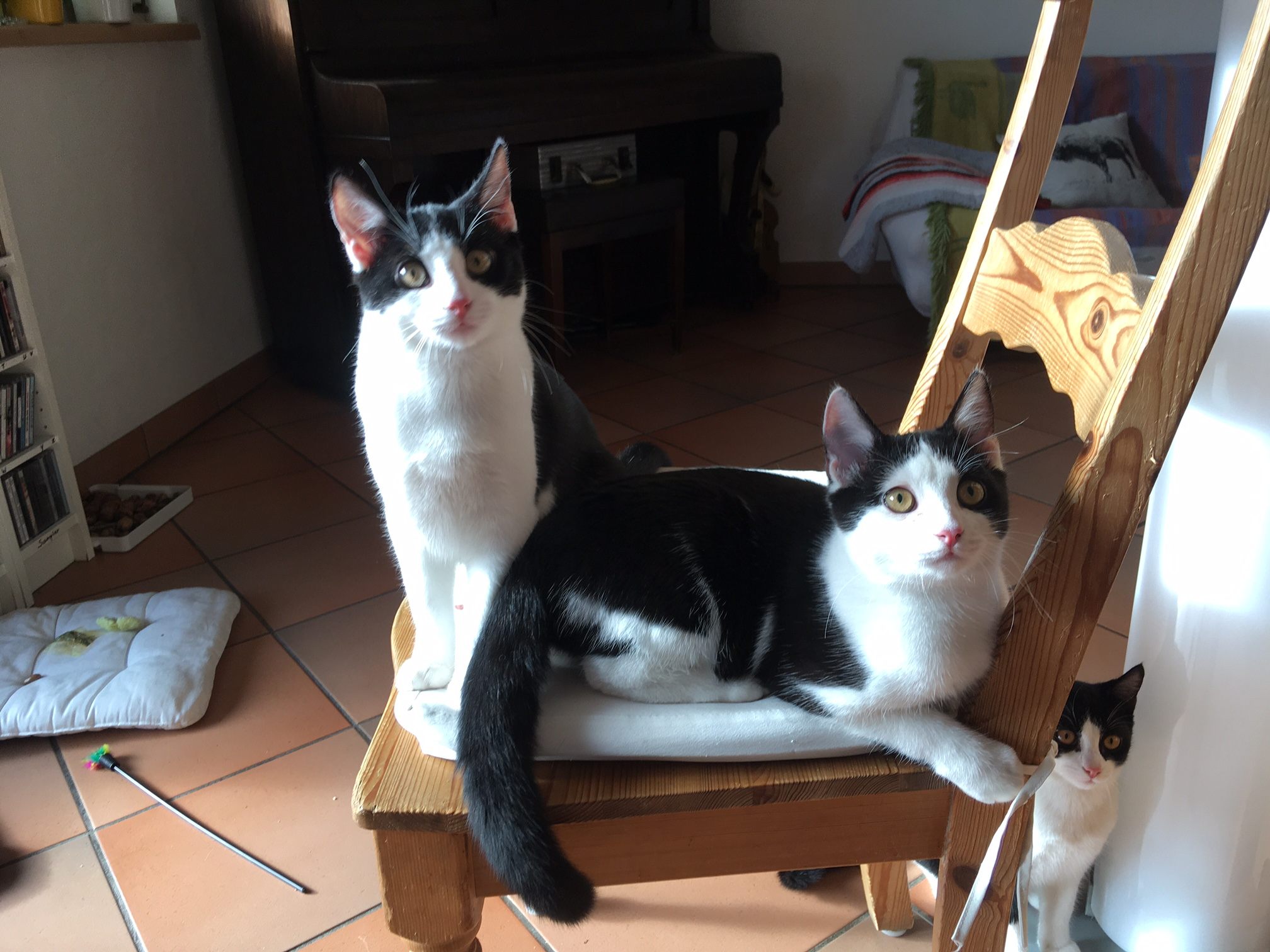 Bobby & Mimi