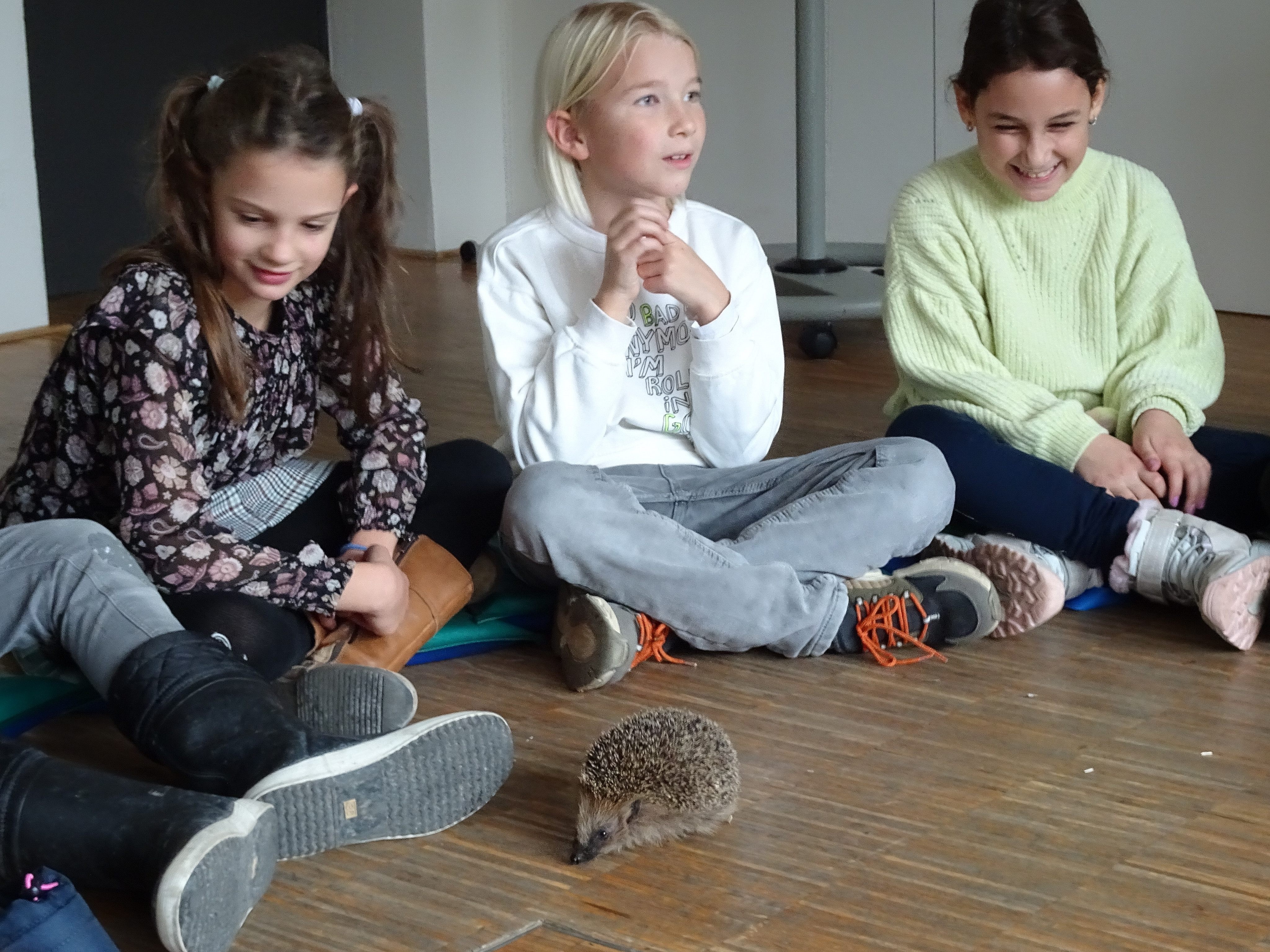 Der inatura-Igel sorgte für großes Entzücken bei den Kindern der VS Leopold. Der inatura-Igel sorgte für großes Entzücken bei den Kindern der VS Leopold.