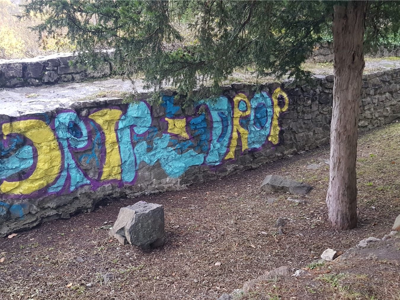 Immer wieder gibt es Vandalismus auf dem Burgareal