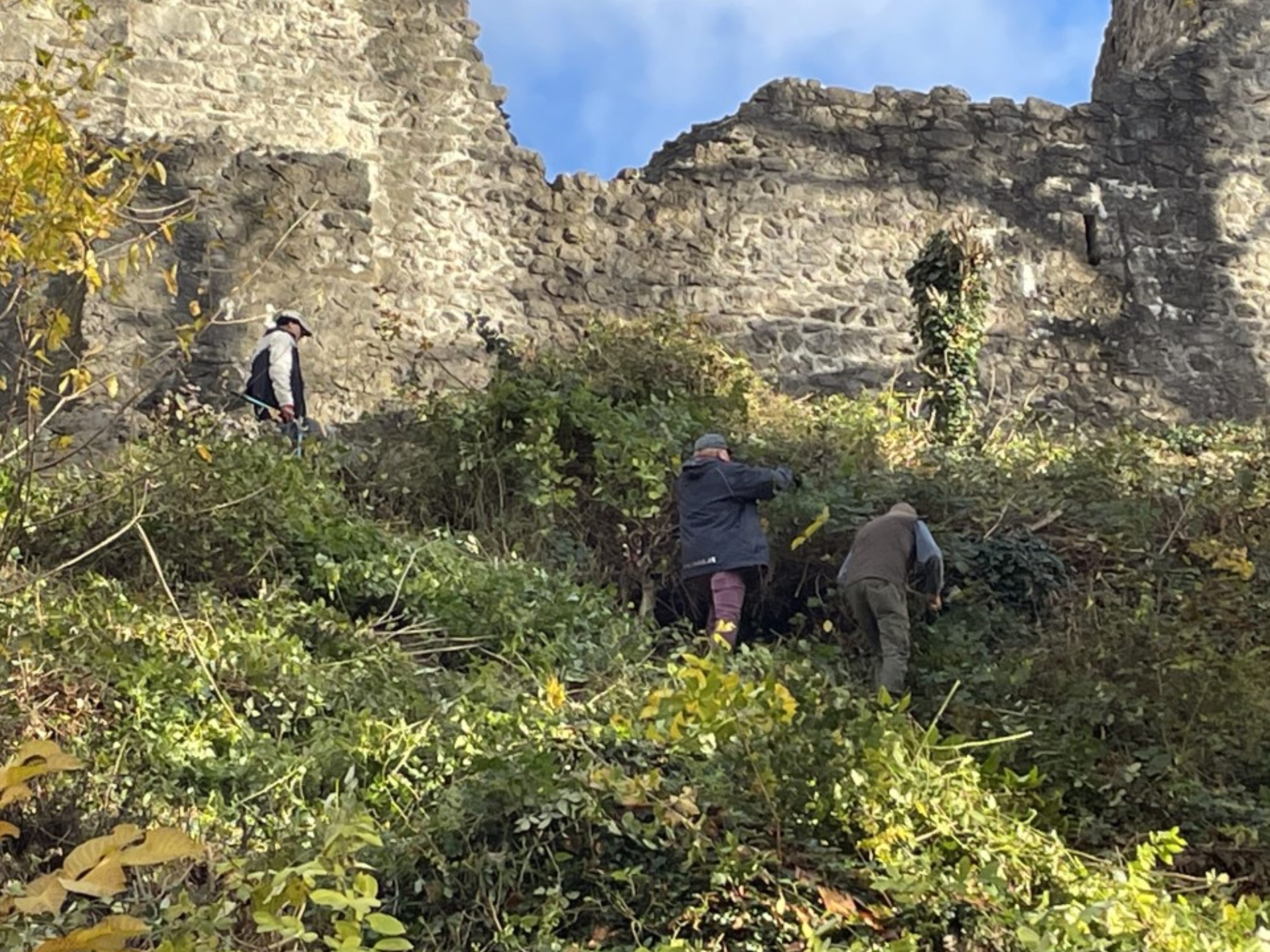 Die Burgruine Neuburg wurde von den freiwilligen Helfern von Efeu und Bewuchs befreit Die Burgruine Neuburg wurde von den freiwilligen Helfern von Efeu und Bewuchs befreit