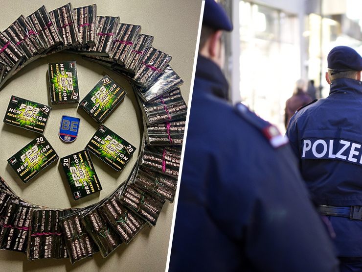 Die Wiener Polizei stellte 680 Stück Pyrotechnik sicher.