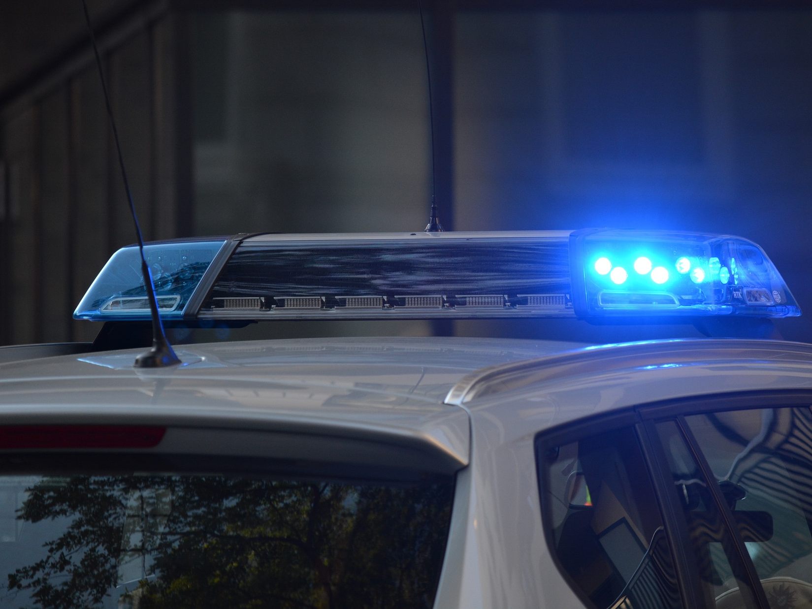Ein Mann in Niederösterreich wurde angezeigt, weil er sich an Schafen vergangen haben soll. Ein Mann in Niederösterreich wurde angezeigt, weil er sich an Schafen vergangen haben soll.