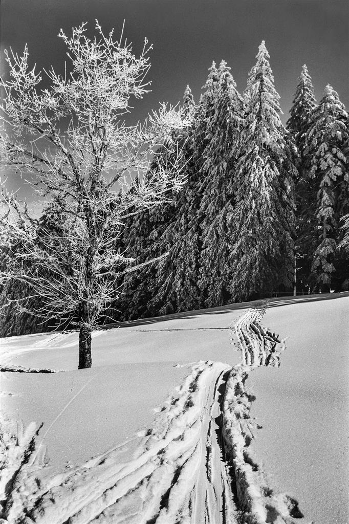 Schispur zum Hochälpele.