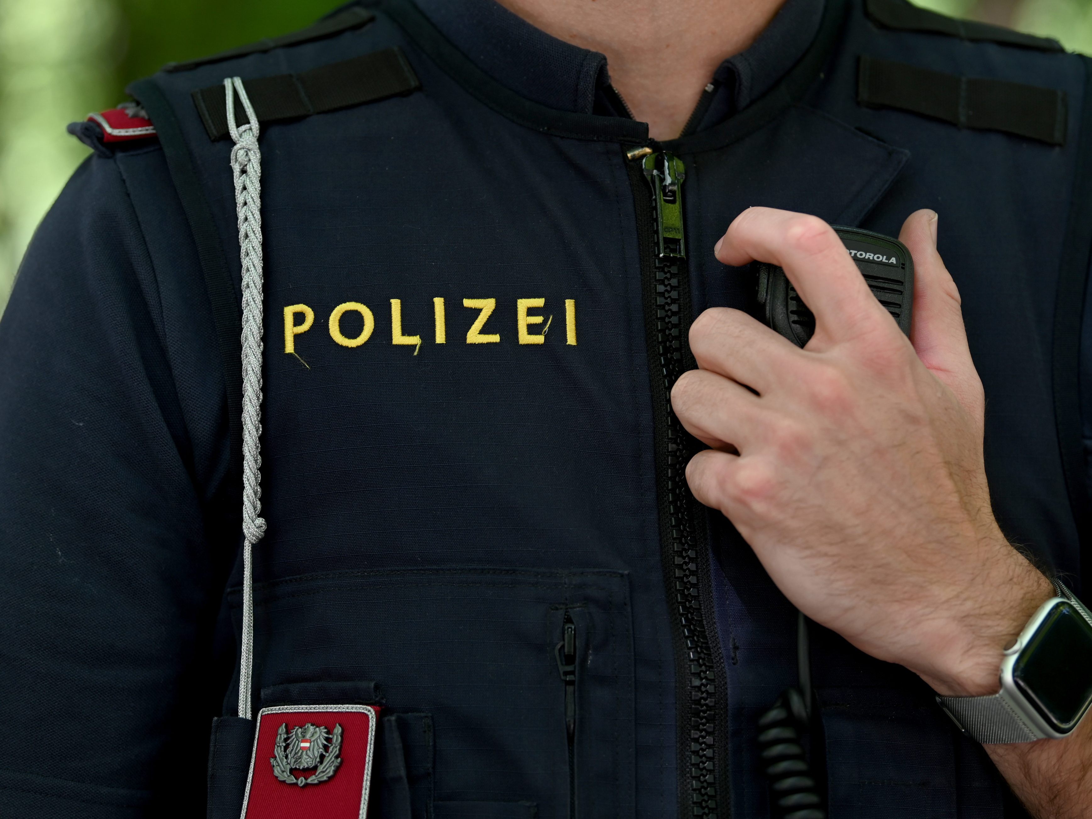 Nach einer brutalen Rauferei im Burgenland ist ein 42-jähriger Mann gestorben. Nach einer brutalen Rauferei im Burgenland ist ein 42-jähriger Mann gestorben.