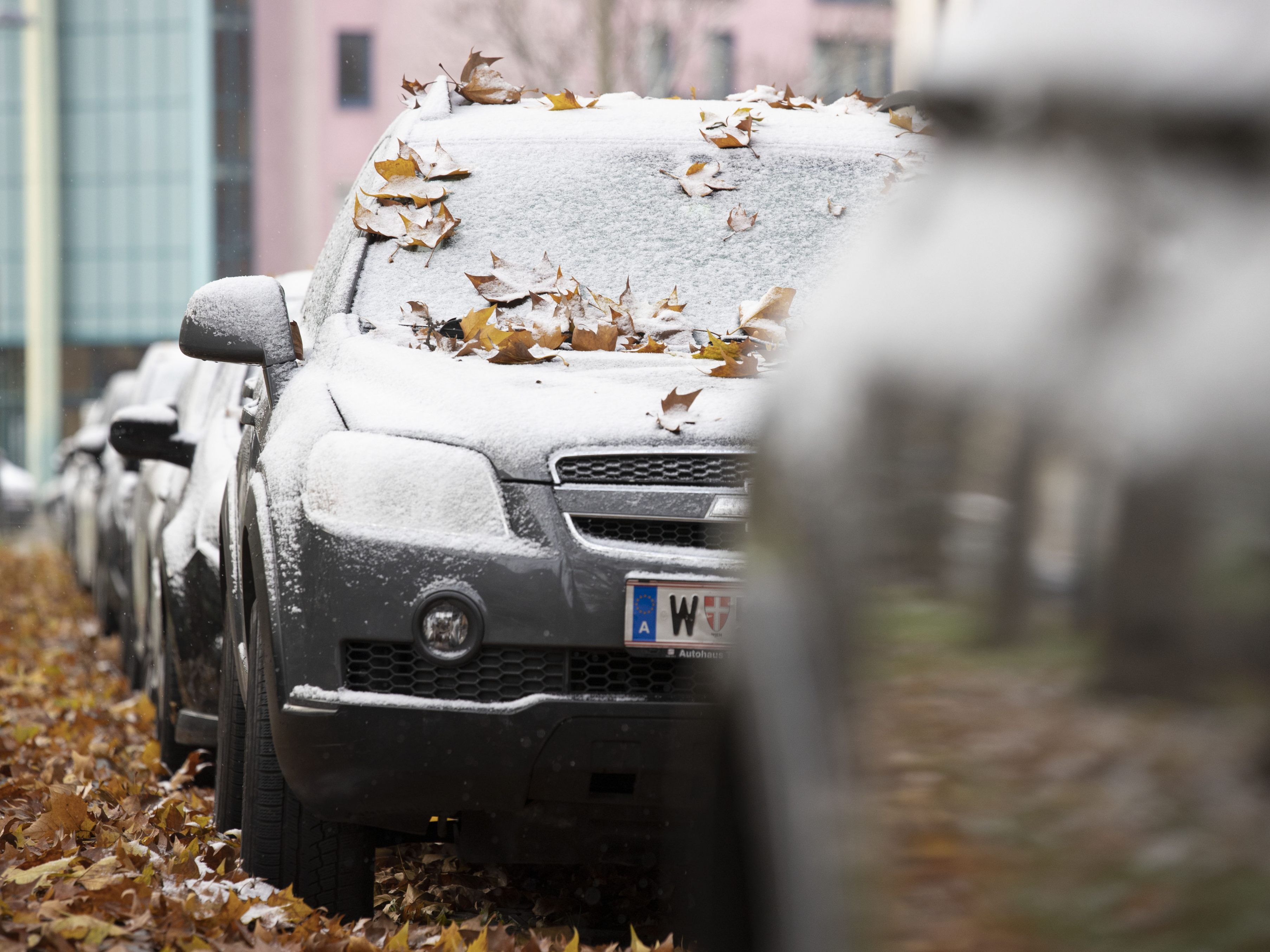 Am Wochenende könnte es Schnee in ganz Österreich geben.