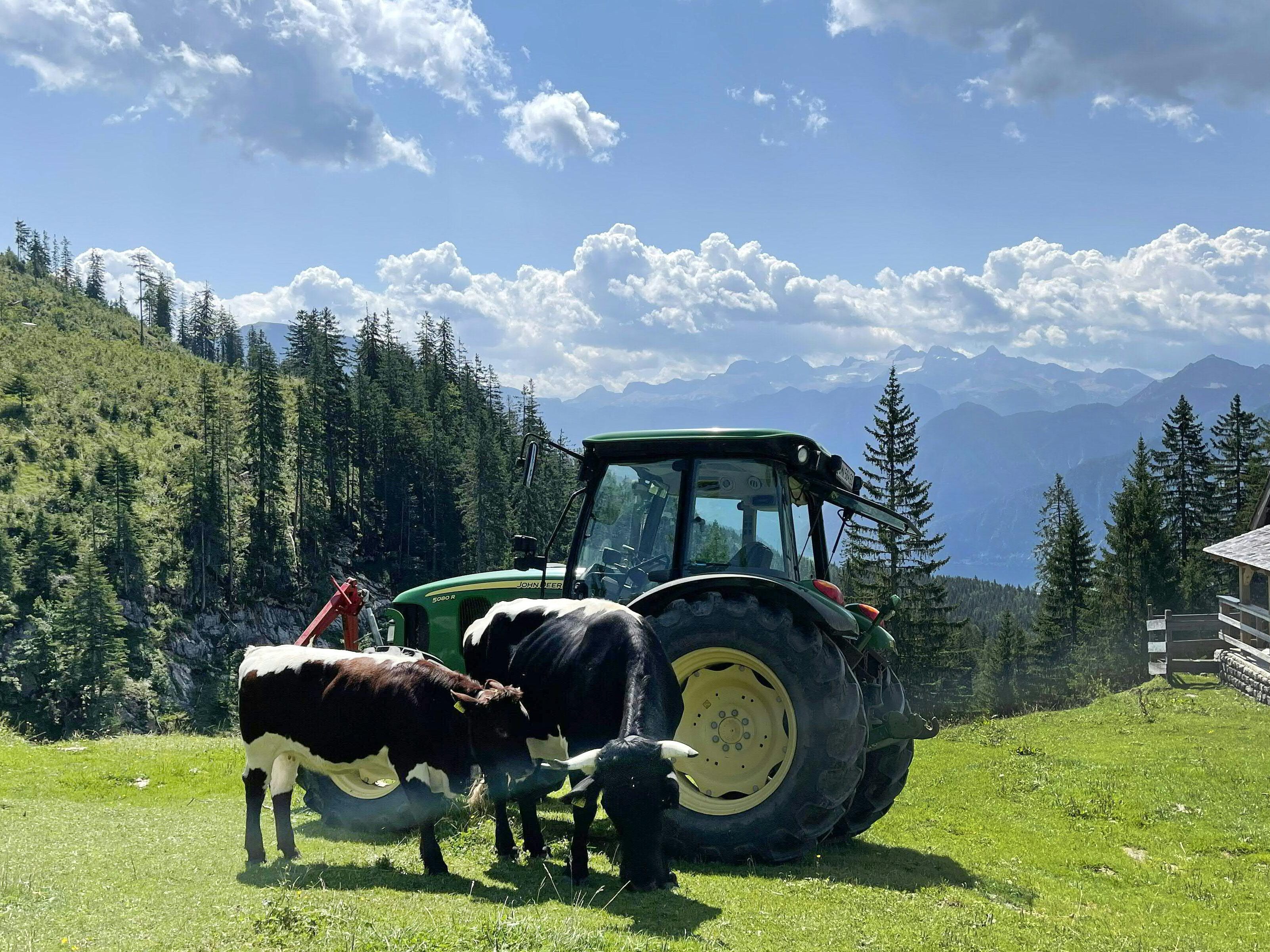 Die Arbeiterkammer kritisiert die Gewinne die die Landwirtschaft auf Kosten der Konsumenten erwirtschaftet haben soll.