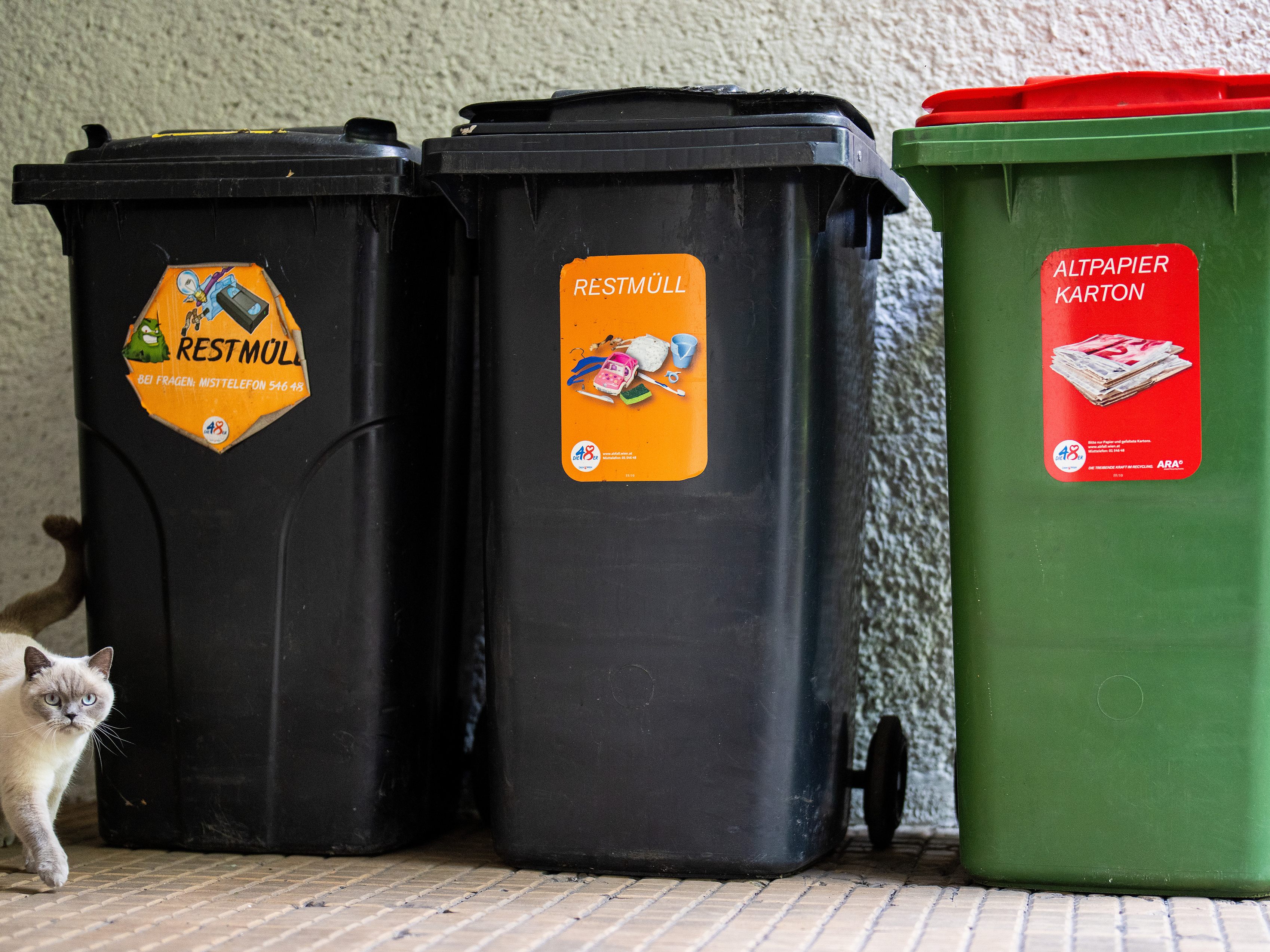 Müll-Sammelmenge heuer wegen Konsumrückgangs gesunken Müll-Sammelmenge heuer wegen Konsumrückgangs gesunken