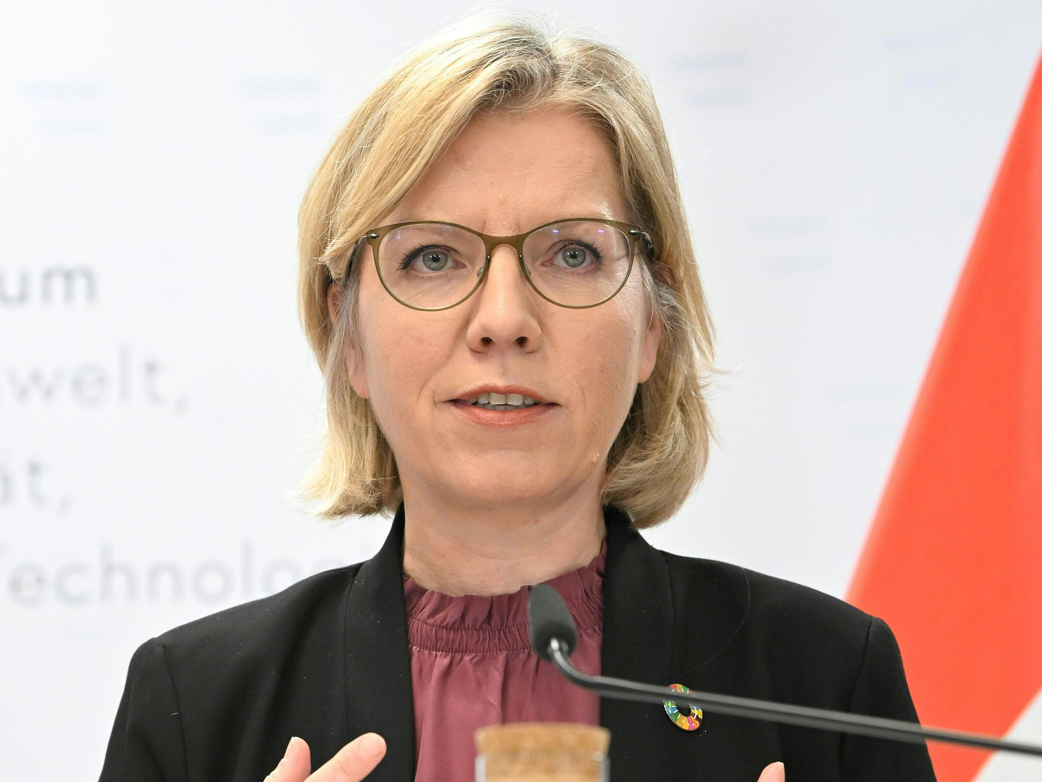 Laut Umweltministerin Leonore Gewessler hilft eine intakte Umwelt im Kampf gegen die Klimakrise. Laut Umweltministerin Leonore Gewessler hilft eine intakte Umwelt im Kampf gegen die Klimakrise.