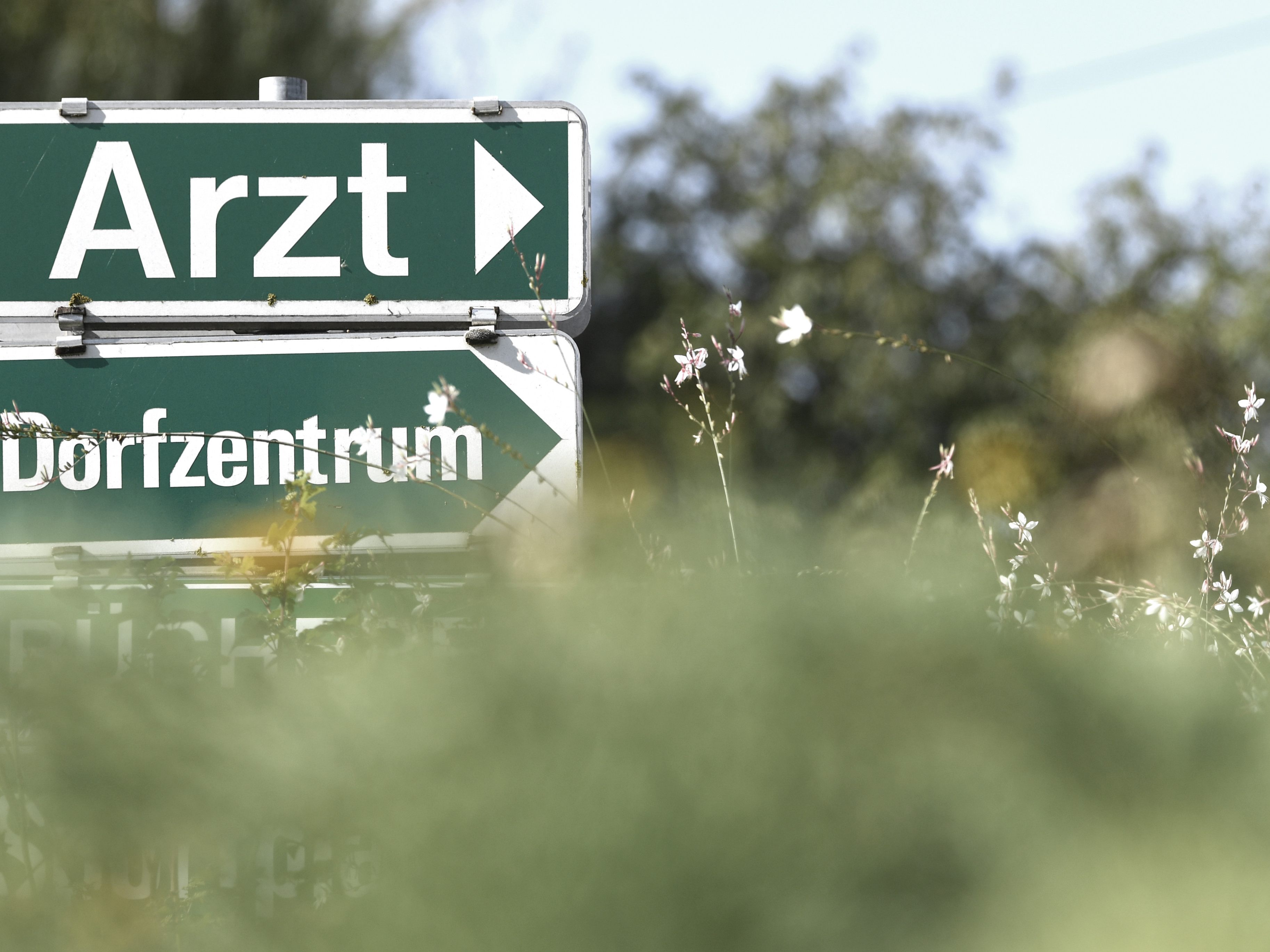 Vertretungsärzte sollen offene Kassenstellen vorübergehend besetzen.