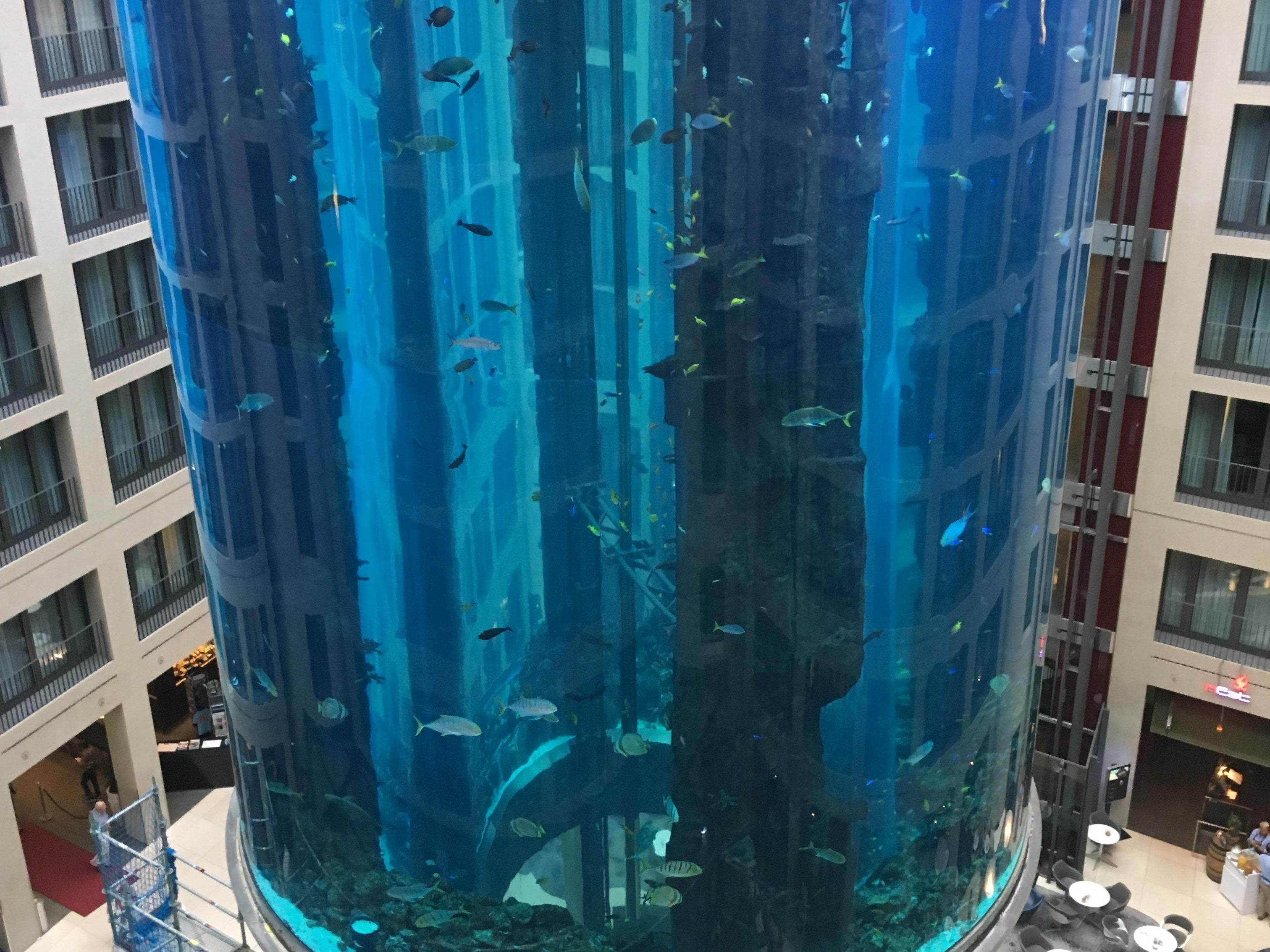 Letzte Woche kam es zum Platzen des Aquariums in Berlin. Das Bild stammt aus dem Jahr 2018.
