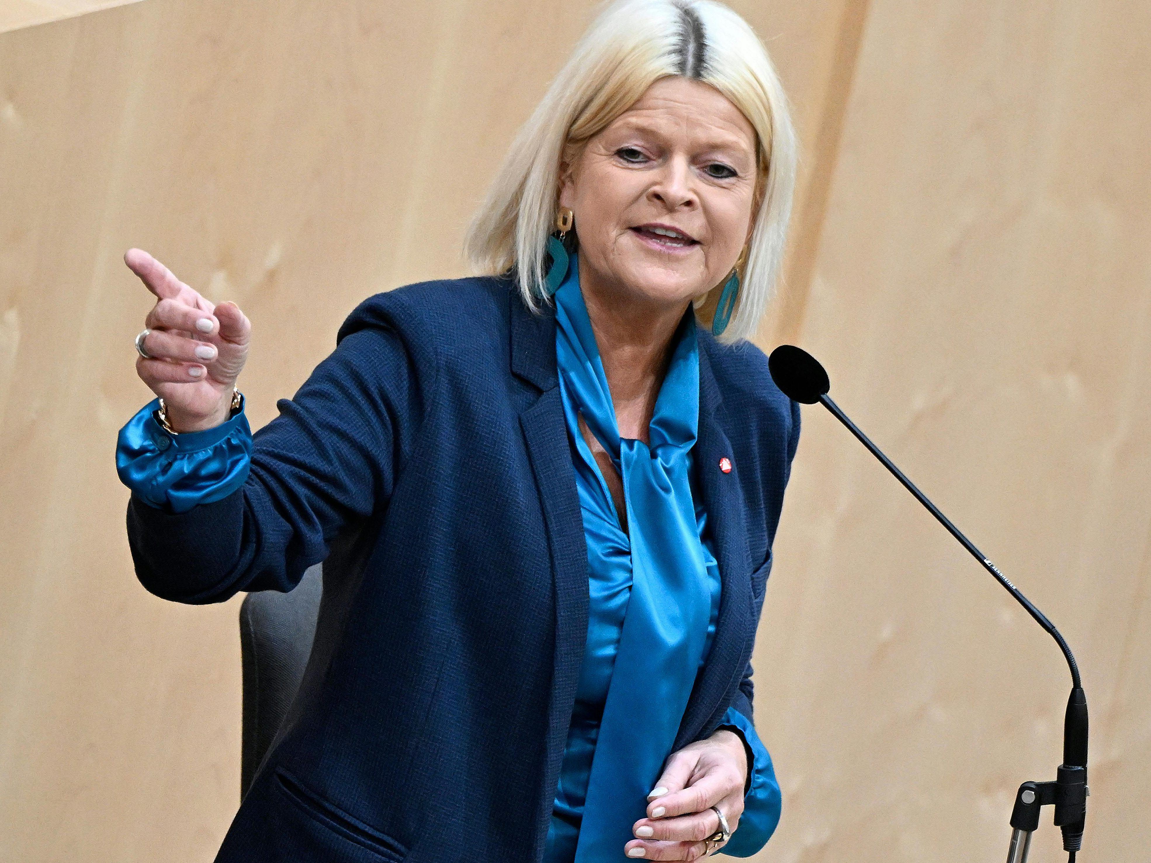 Verteidigungsministerin Klaudia Tanner warnt vor Stromausfällen. Verteidigungsministerin Klaudia Tanner warnt vor Stromausfällen.