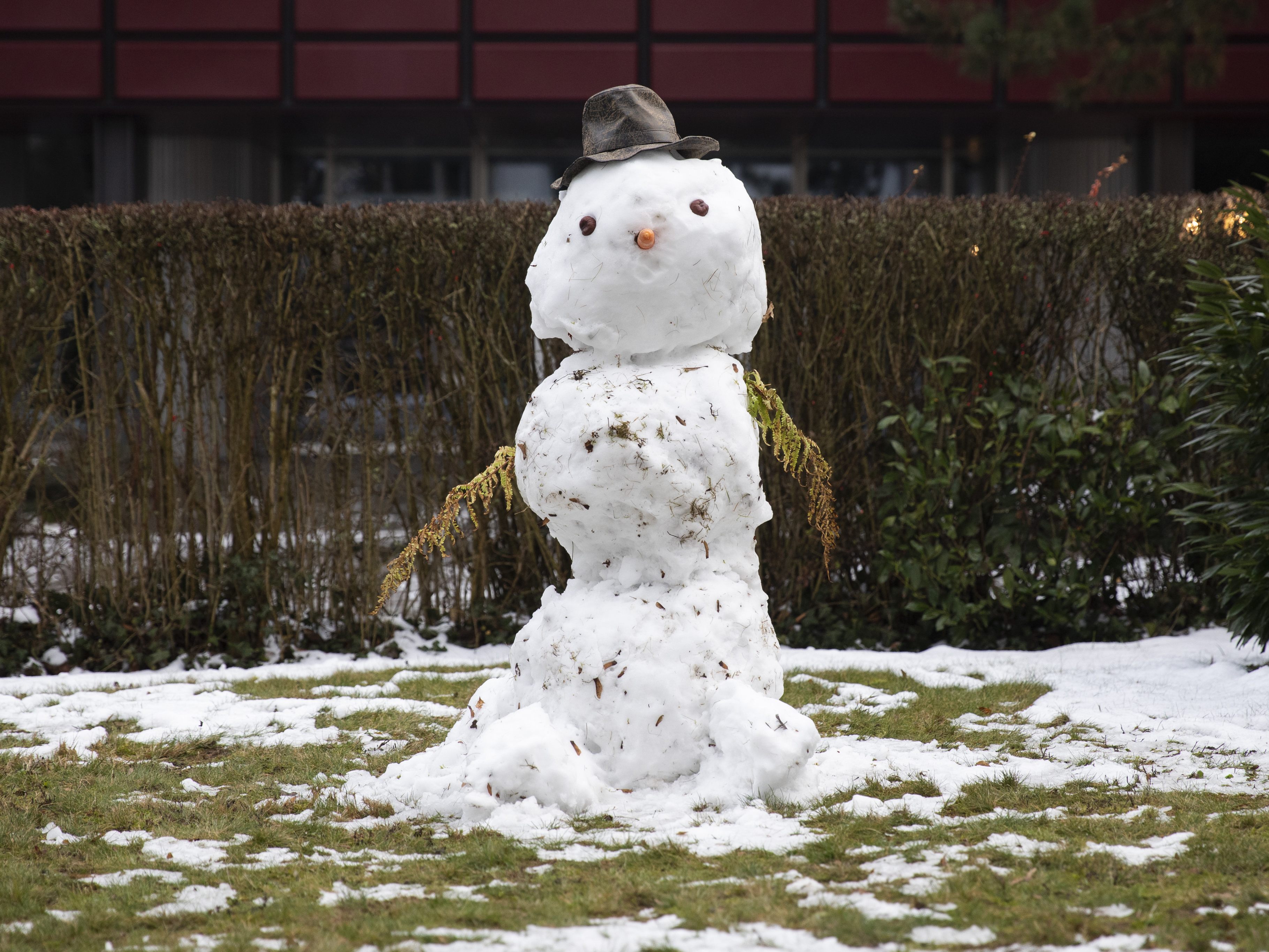 Die Temperaturen in den kommenden Tagen bleiben viel zu mild. Die Temperaturen in den kommenden Tagen bleiben viel zu mild.