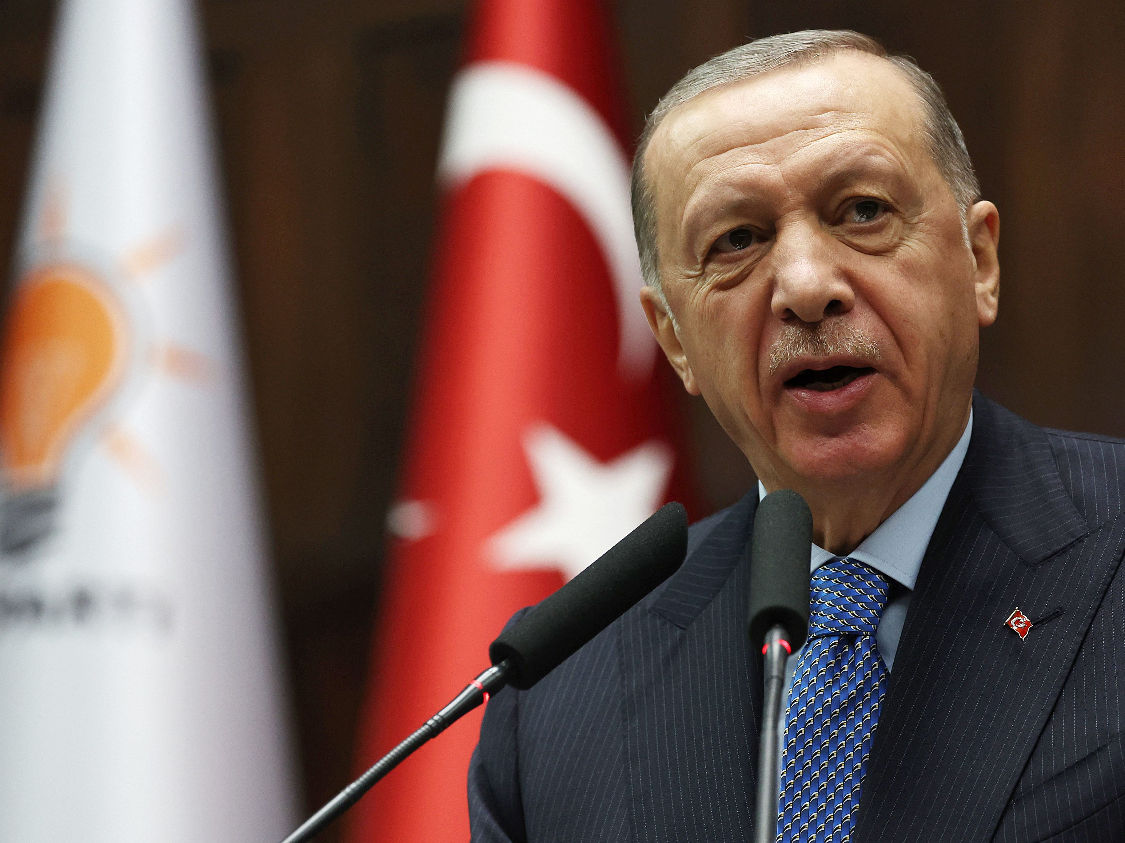 In der Kritik: Recep Tayyip Erdogan.