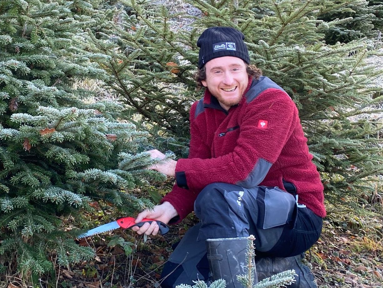 Der Verkauf der Ländle Christbäume startet.