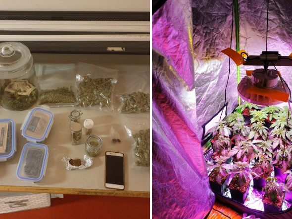 Bei einem Mann in Wien-Liesing wurden 23 Cannabispflanzen in der Wohnung gefunden. Bei einem Mann in Wien-Liesing wurden 23 Cannabispflanzen in der Wohnung gefunden.