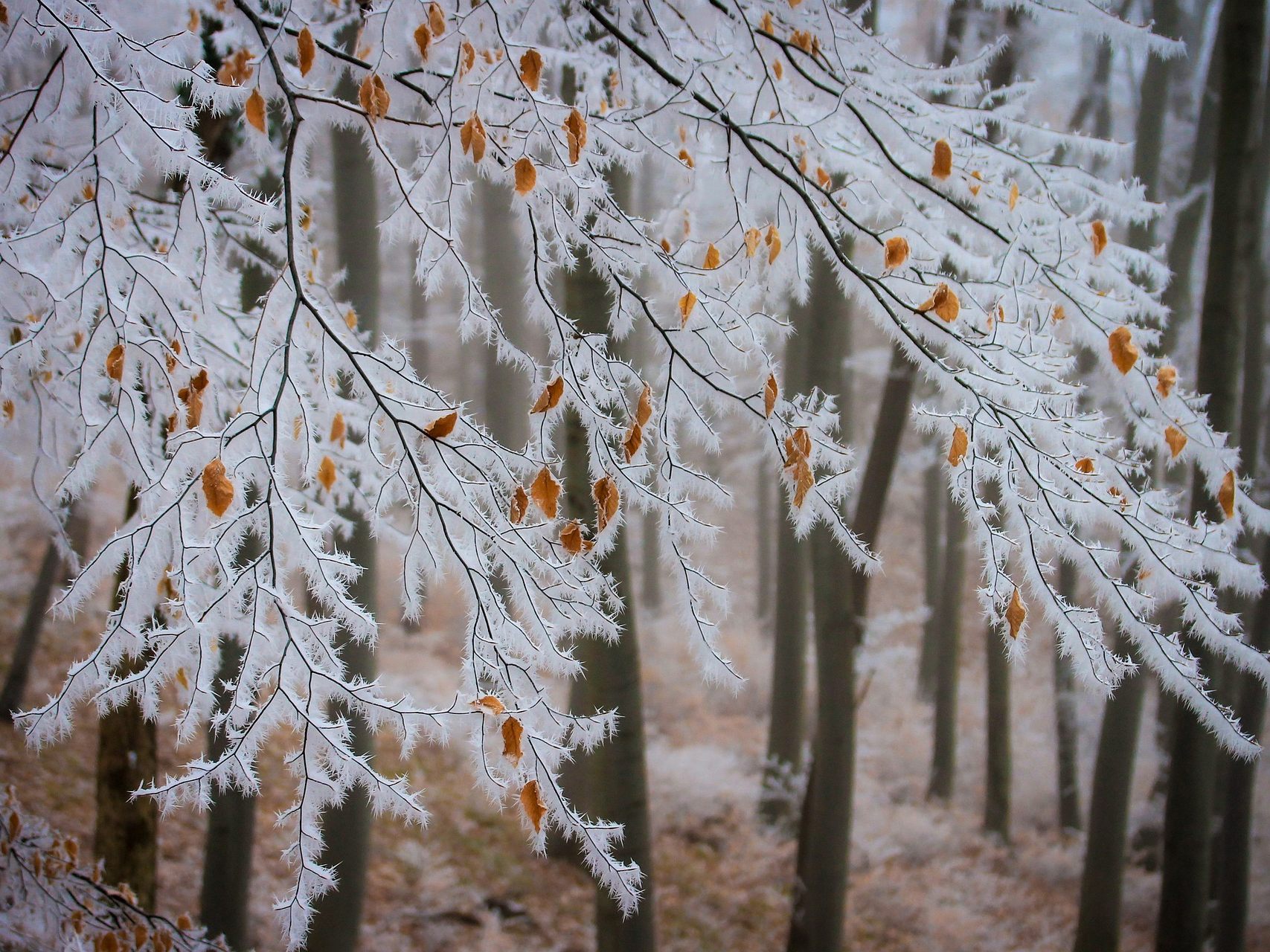 Es bleibt kalt in Österreich.