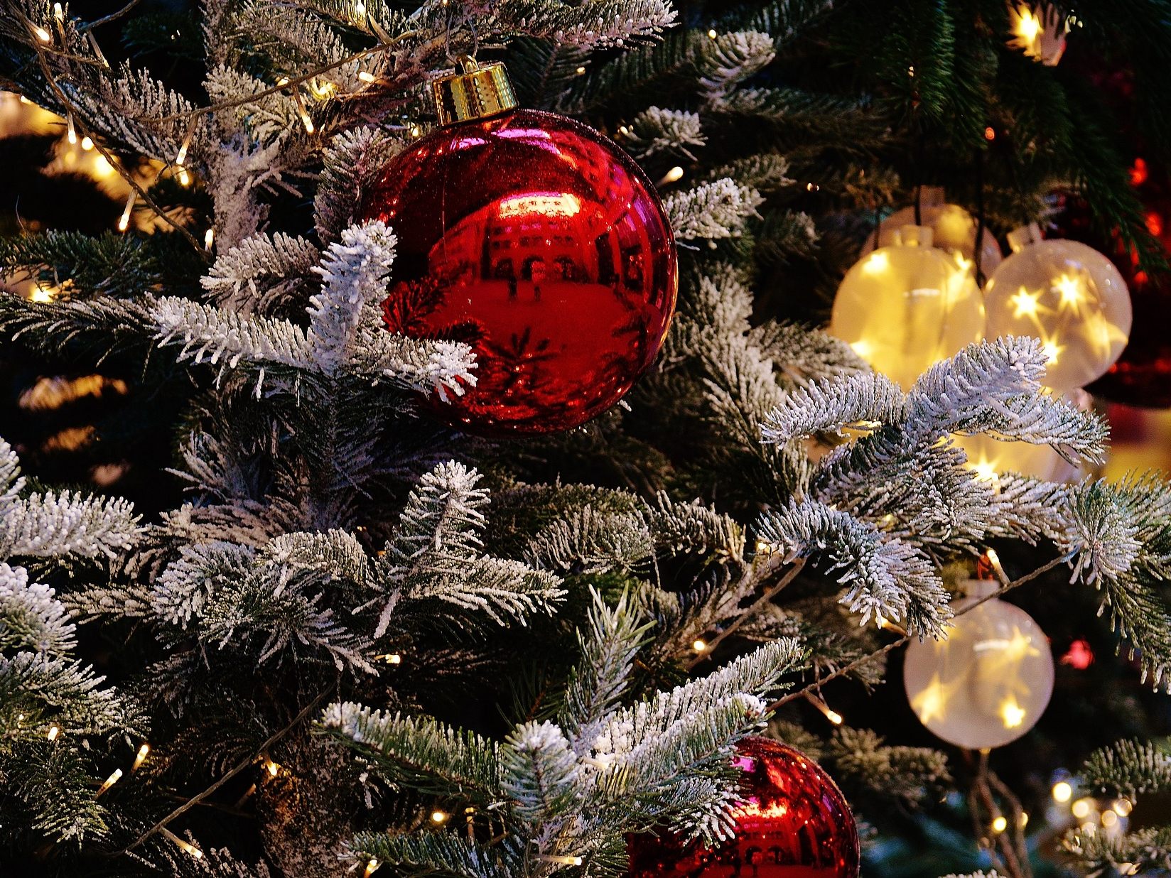 Auch heuer findet wieder der VinziRast Christbaumverkauf statt. Auch heuer findet wieder der VinziRast Christbaumverkauf statt.