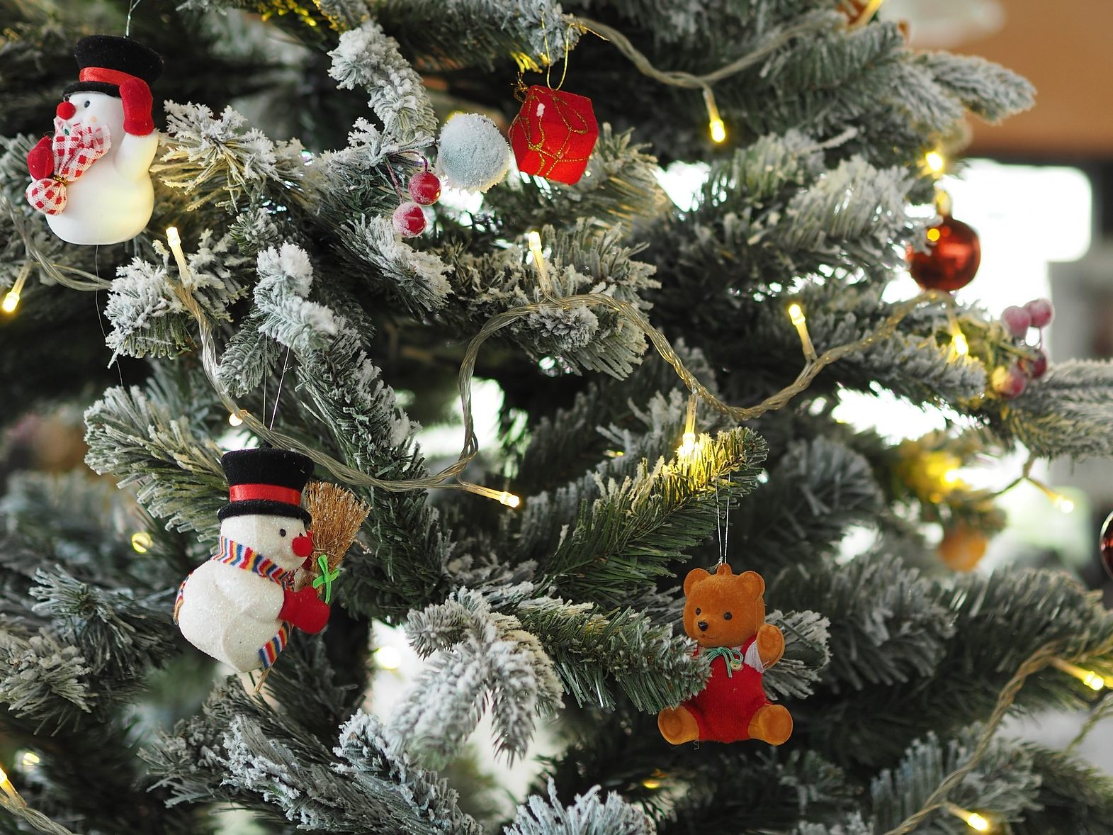 Laut einem norwegischen Forscherteam holen wir uns mit dem Weihnachtsbaum rund 25.000 Insekten ins Haus.