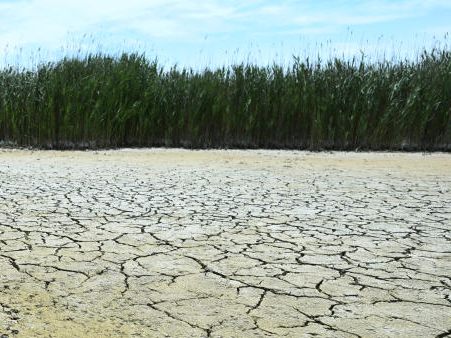 Auch 2022 setzte sich der Klimawandel in Österreich fort.