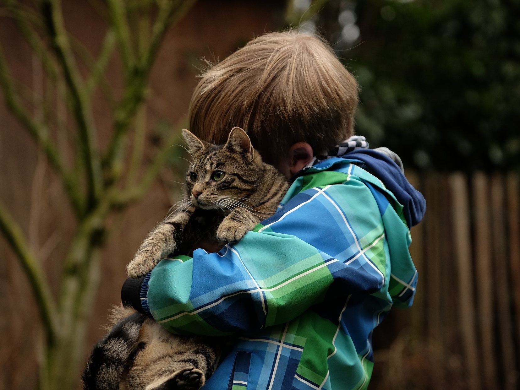 Am liebsten spenden die Österreicher ihr Geld für Kinder und Tiere.