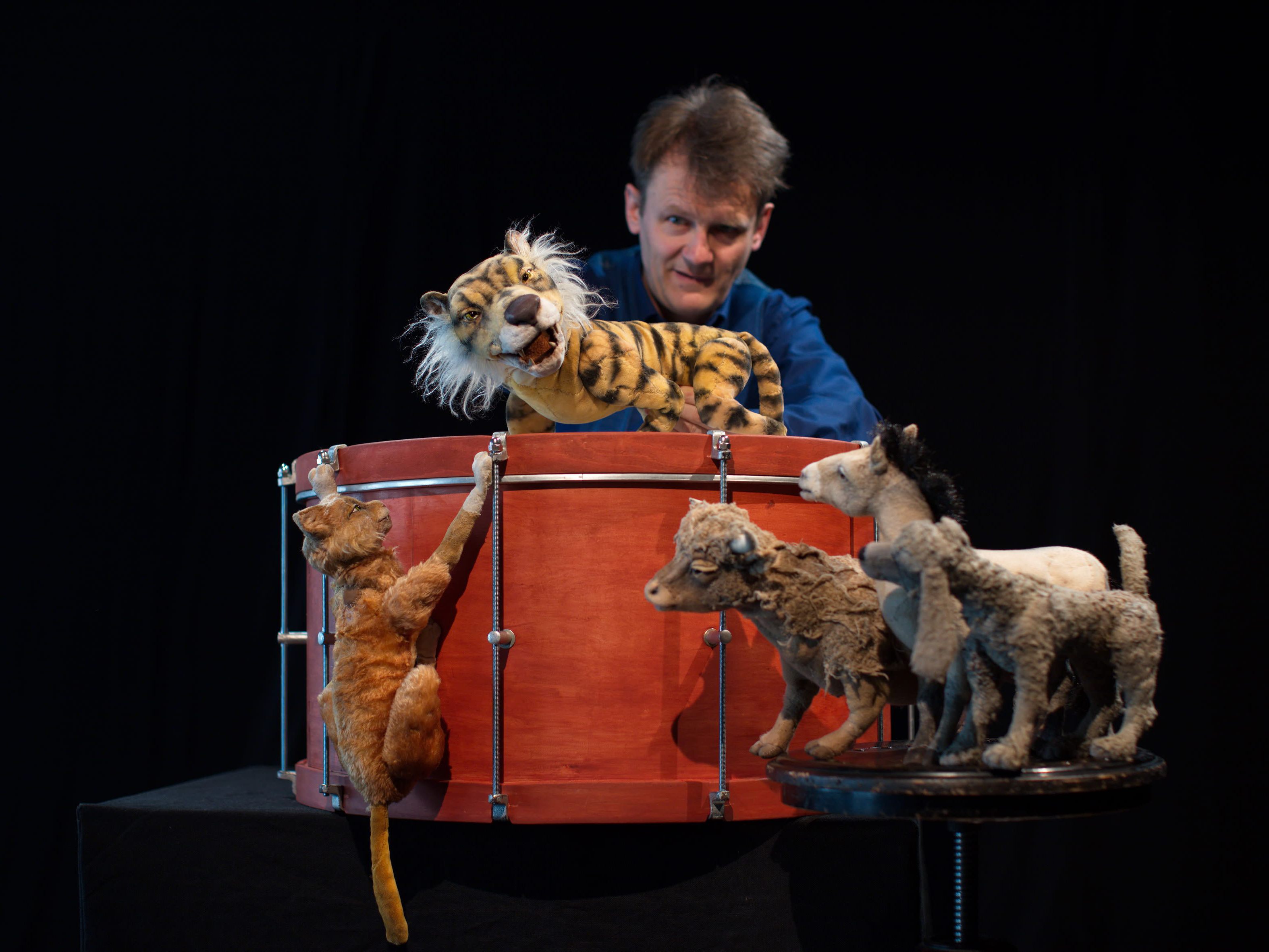 Die Katze, die tut was sie will von Lutz Grossmann.