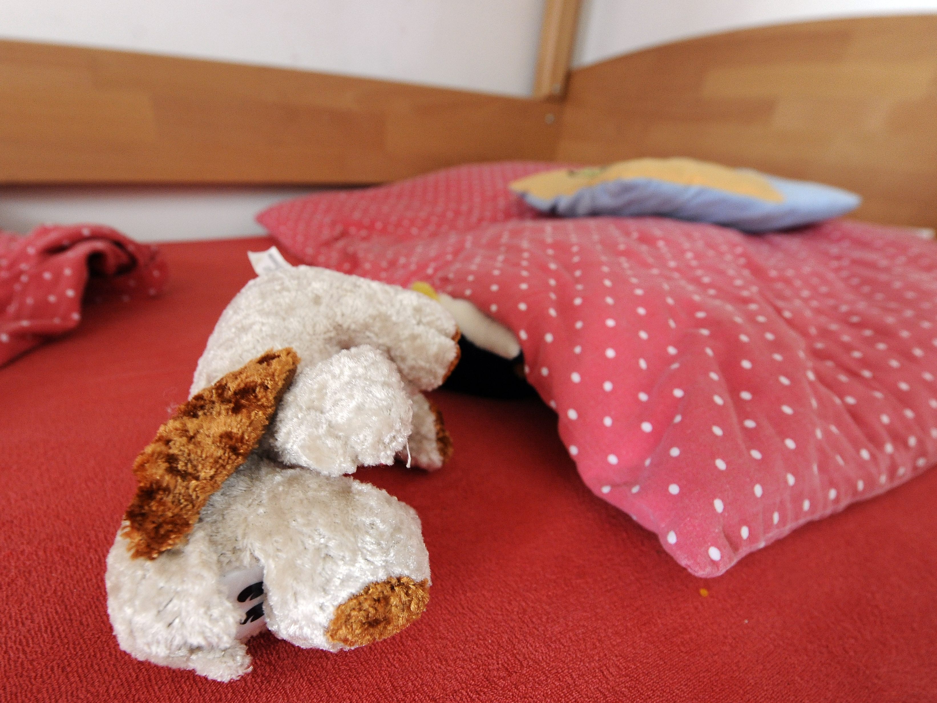 Der Wiener Stadtrechnungshof drängt auf Maßnahmen zur Erhöhung der Zahl von Pflegefamilien.