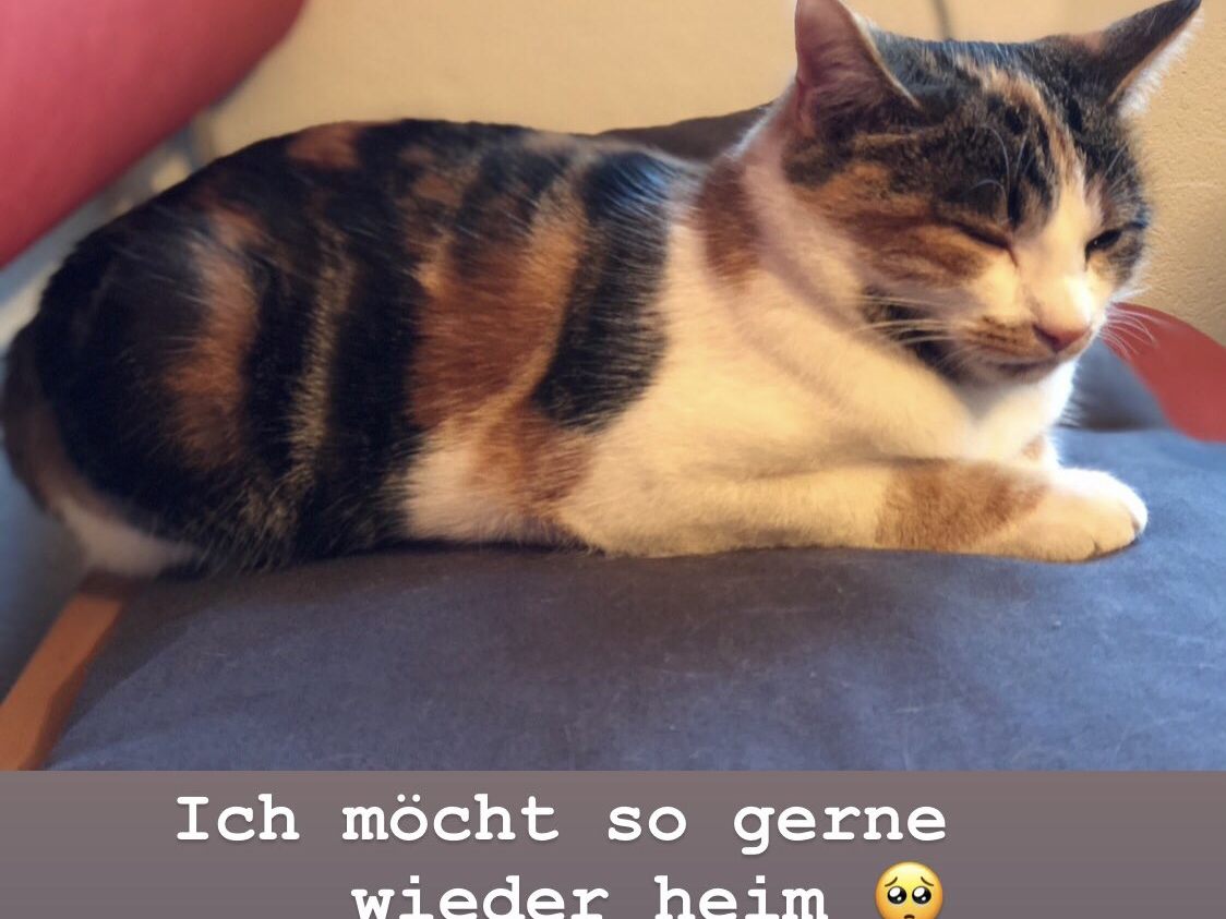 Lucy