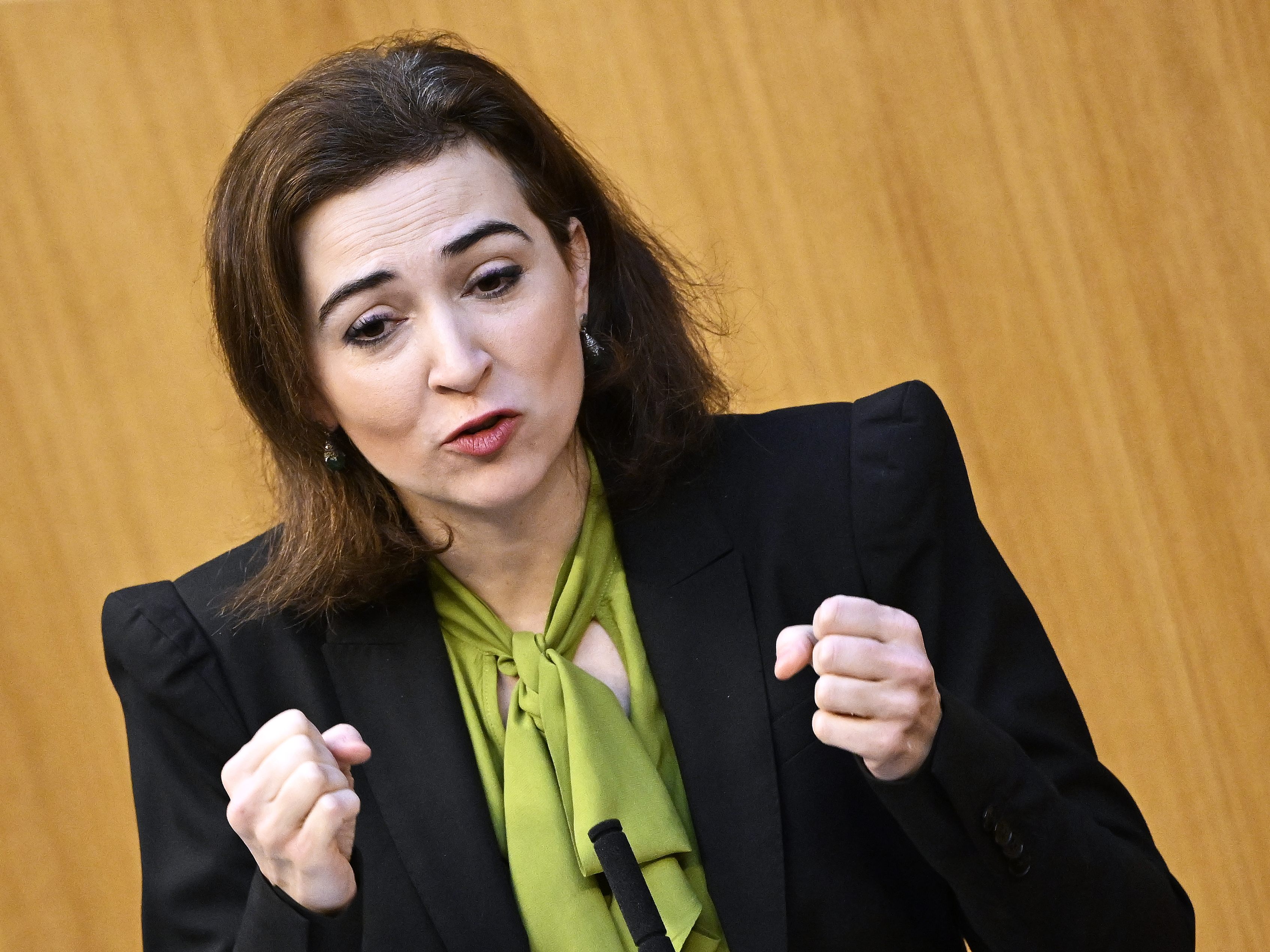 Im Nationalrat wurde über die Kinderschutzpläne der Regieurung debattiert. Im Nationalrat wurde über die Kinderschutzpläne der Regieurung debattiert.