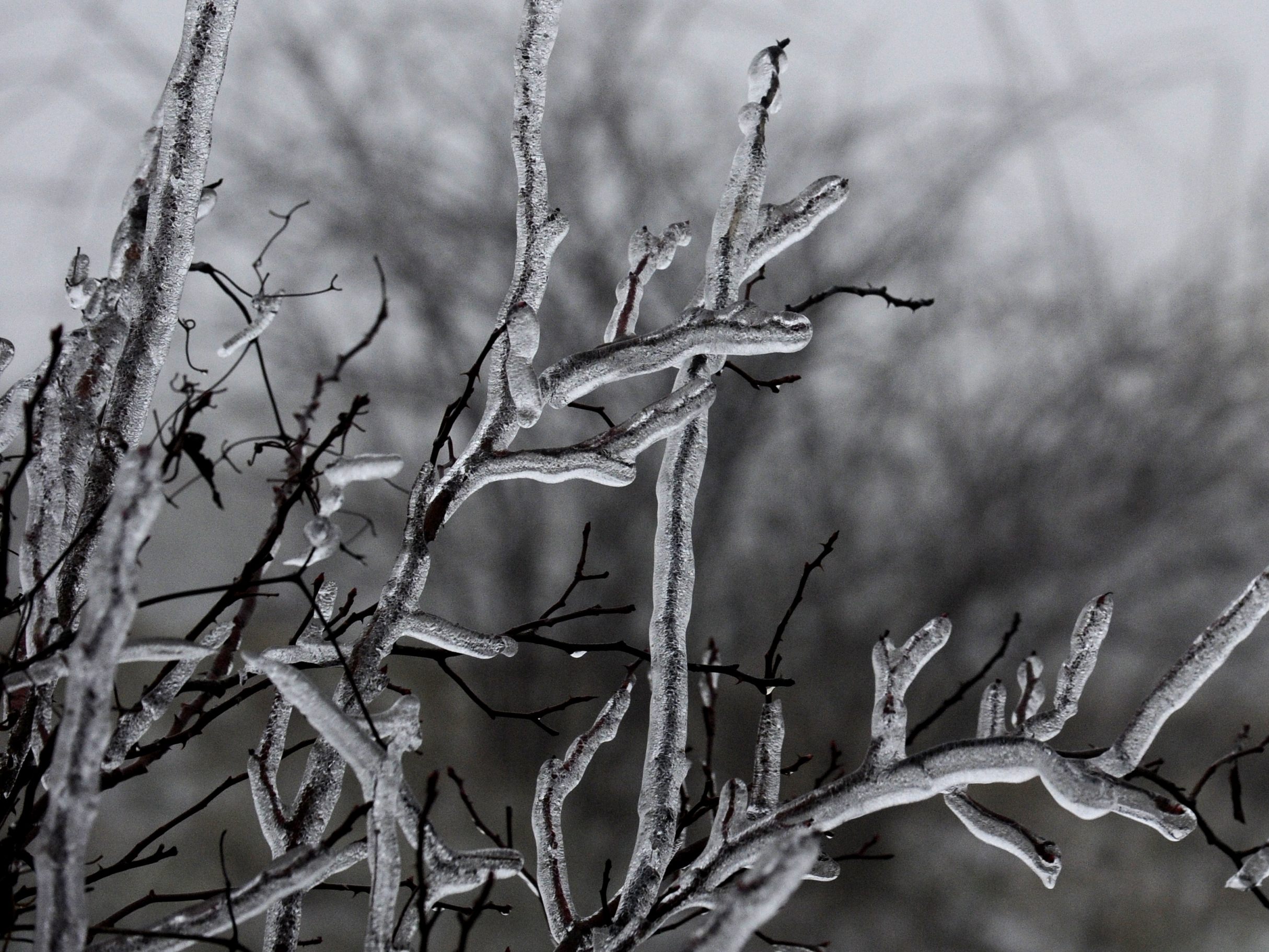 Ab Montag wird es winterlich. Ab Montag wird es winterlich.