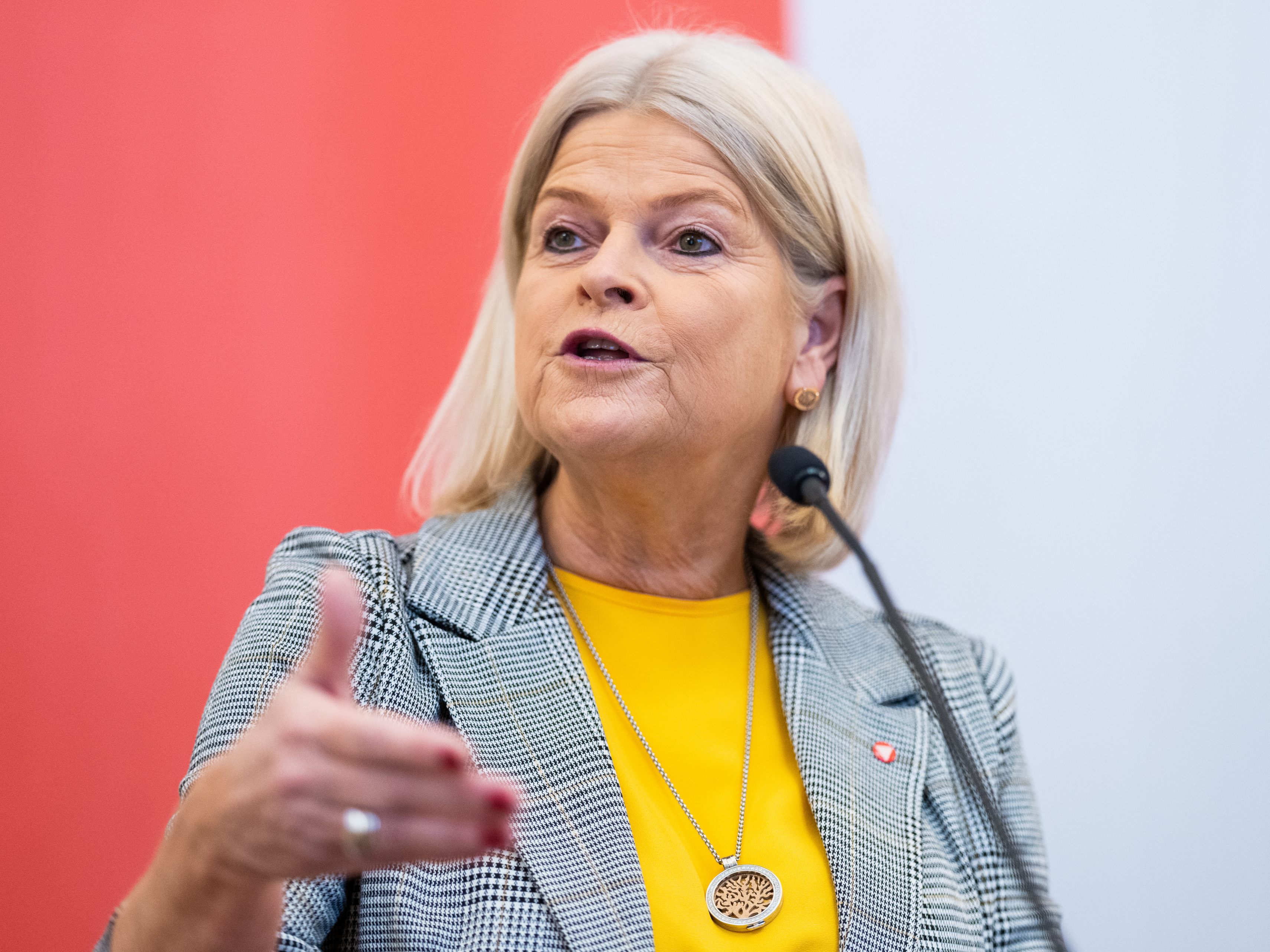 2023 ist laut Tanner das Jahr der Entscheidung für Beschaffungen für das Bundesheer.