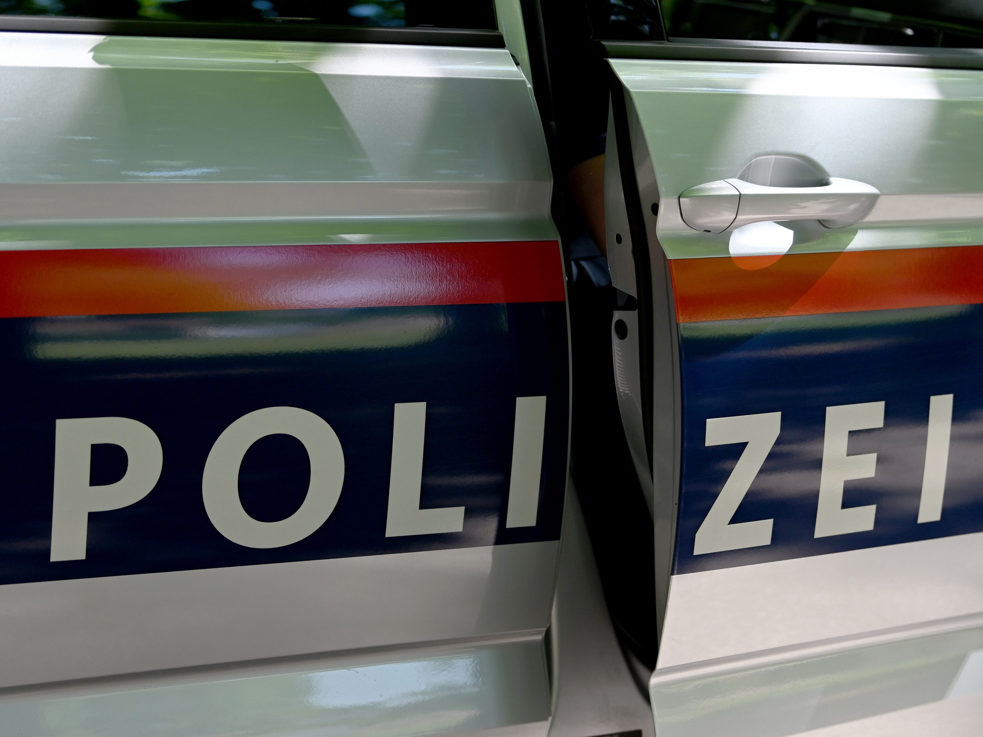 Die Wiener Polizei schnappte am Mittwoch einen Dieb.