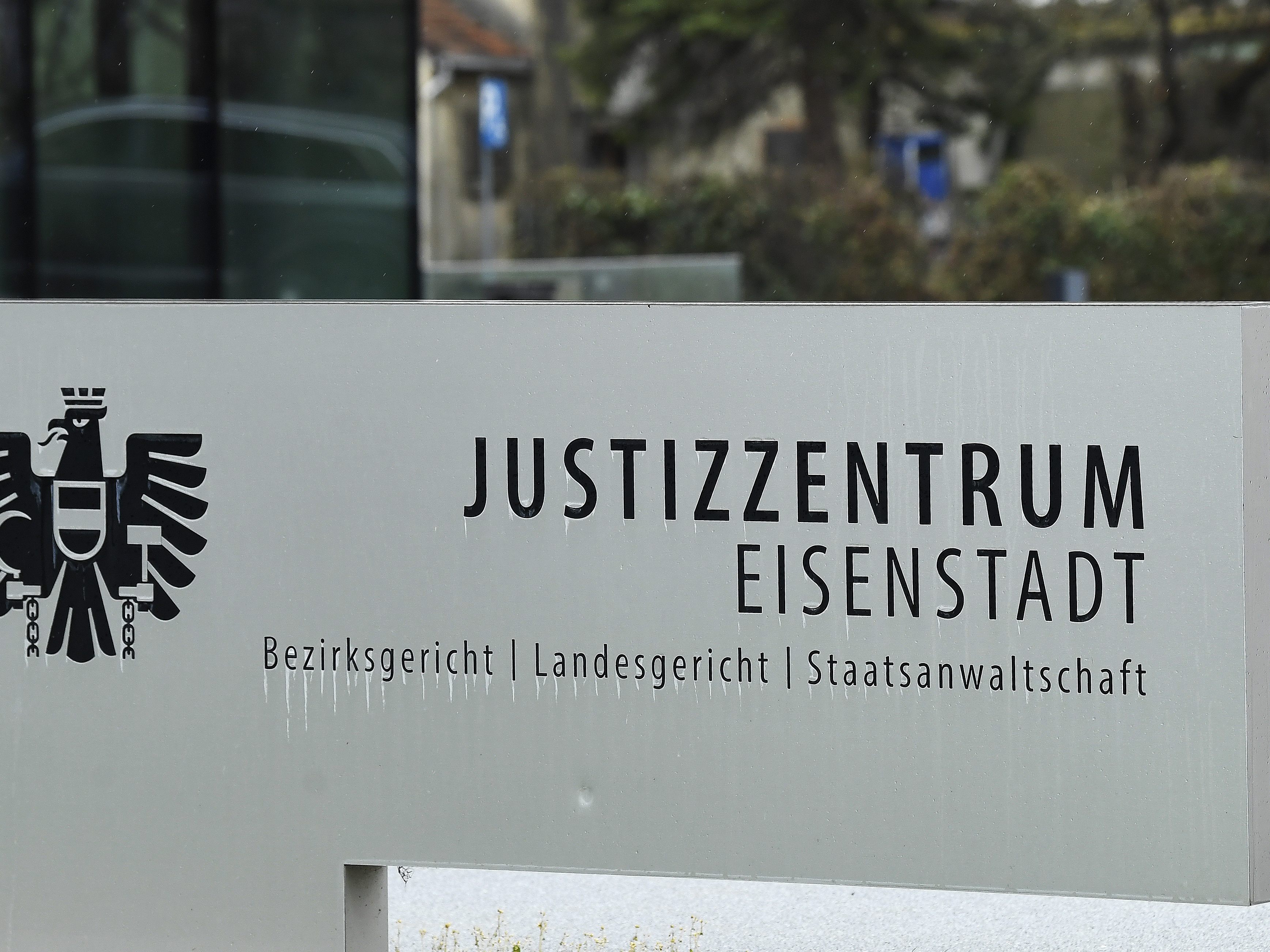 Am 22. Februar findet am Landesgericht in Eisenstadt ein Prozess gegen den Sohn eines Hamas-Gründers statt.