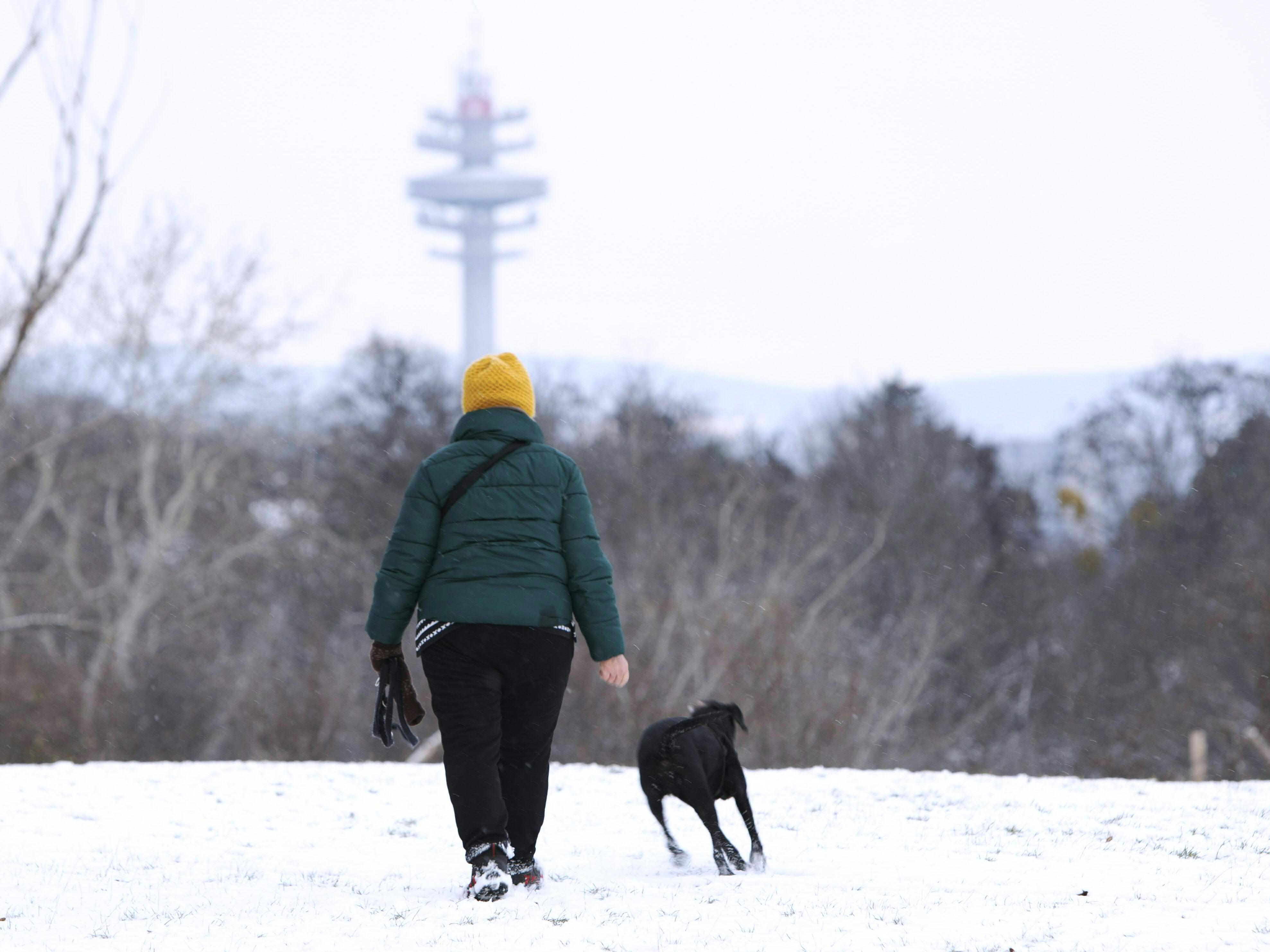 Am Wochenende ist mit winterlichem Wetter in Österreich zu rechnen.