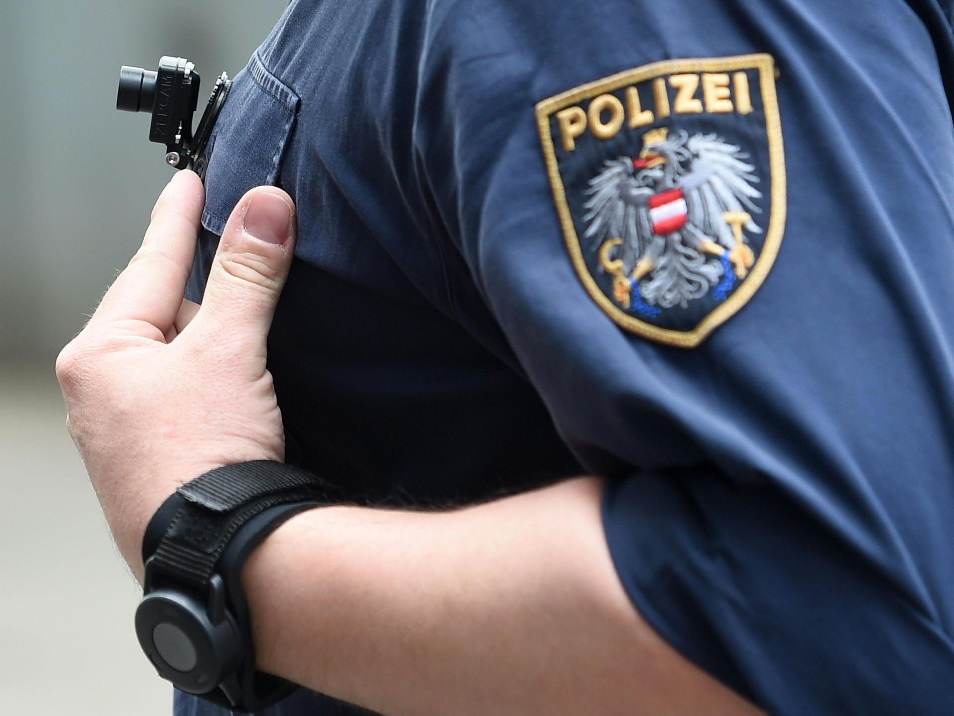 Ein Randalierer verletzte am Wiener Hauptbahnhof zwei Polizisten.