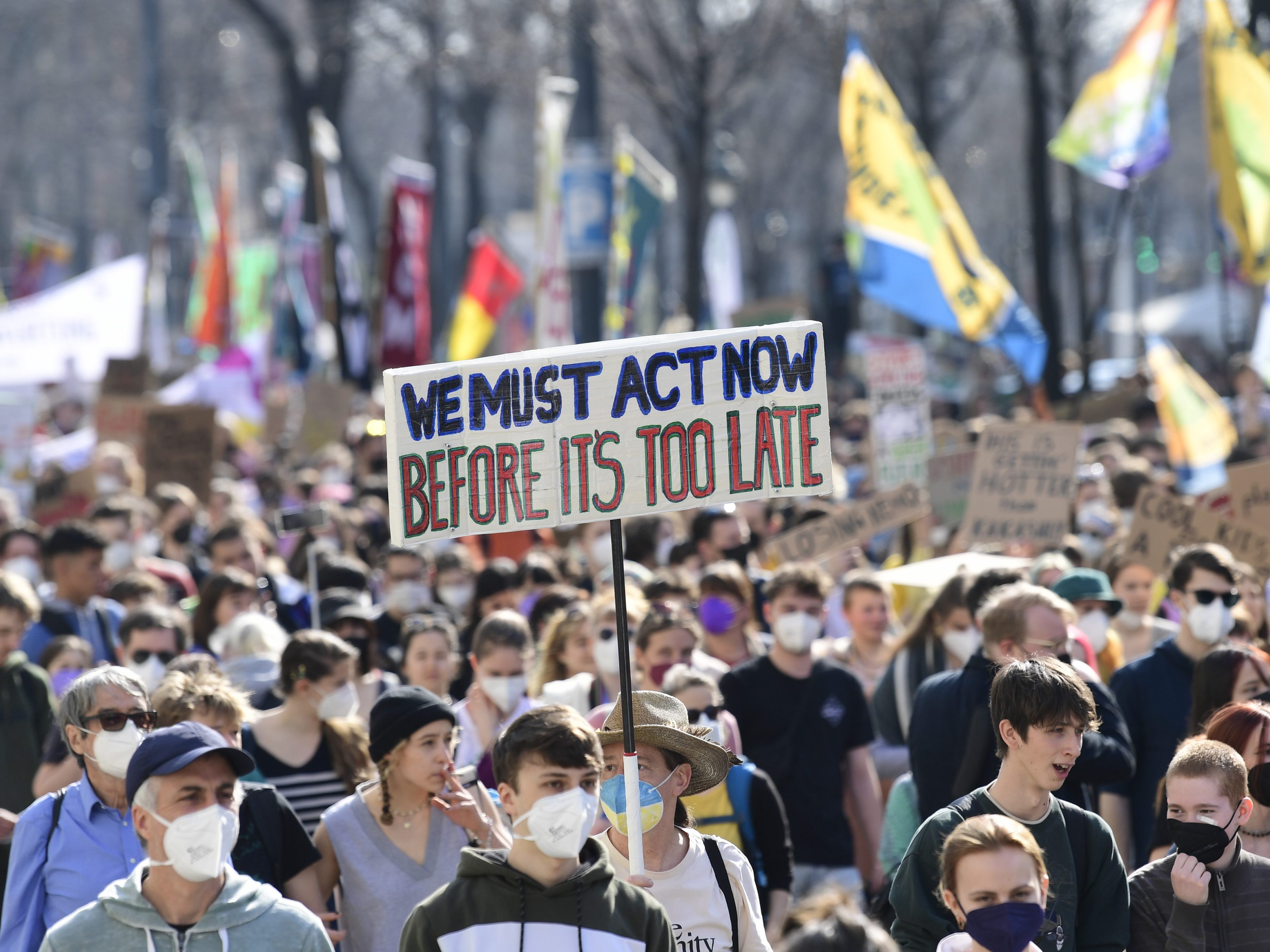 Klimaprotest vor der NÖ-Landtagswahl angekündigt. Klimaprotest vor der NÖ-Landtagswahl angekündigt.
