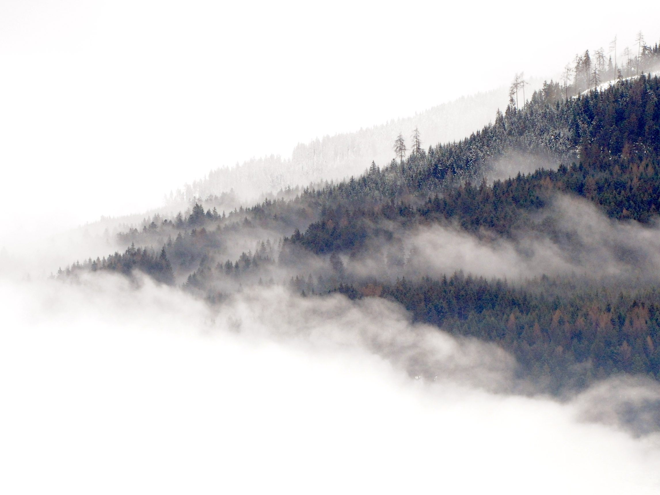 Beim Wetter erwarten uns weiter keine winterlichen Temperaturen.
