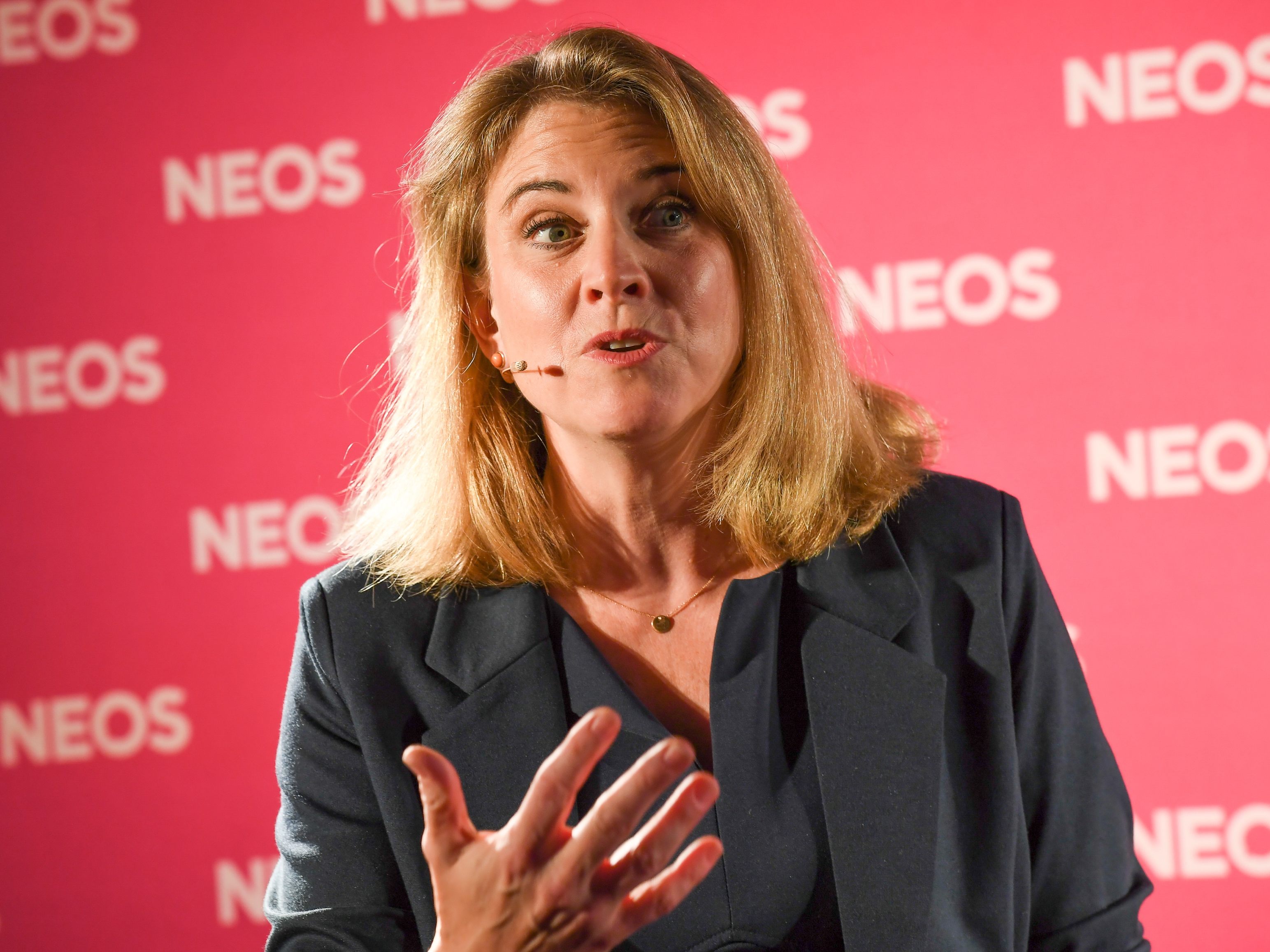 Kommende Woche halten NEOS eine zweitägige Klausur in Mauerbach. Kommende Woche halten NEOS eine zweitägige Klausur in Mauerbach.