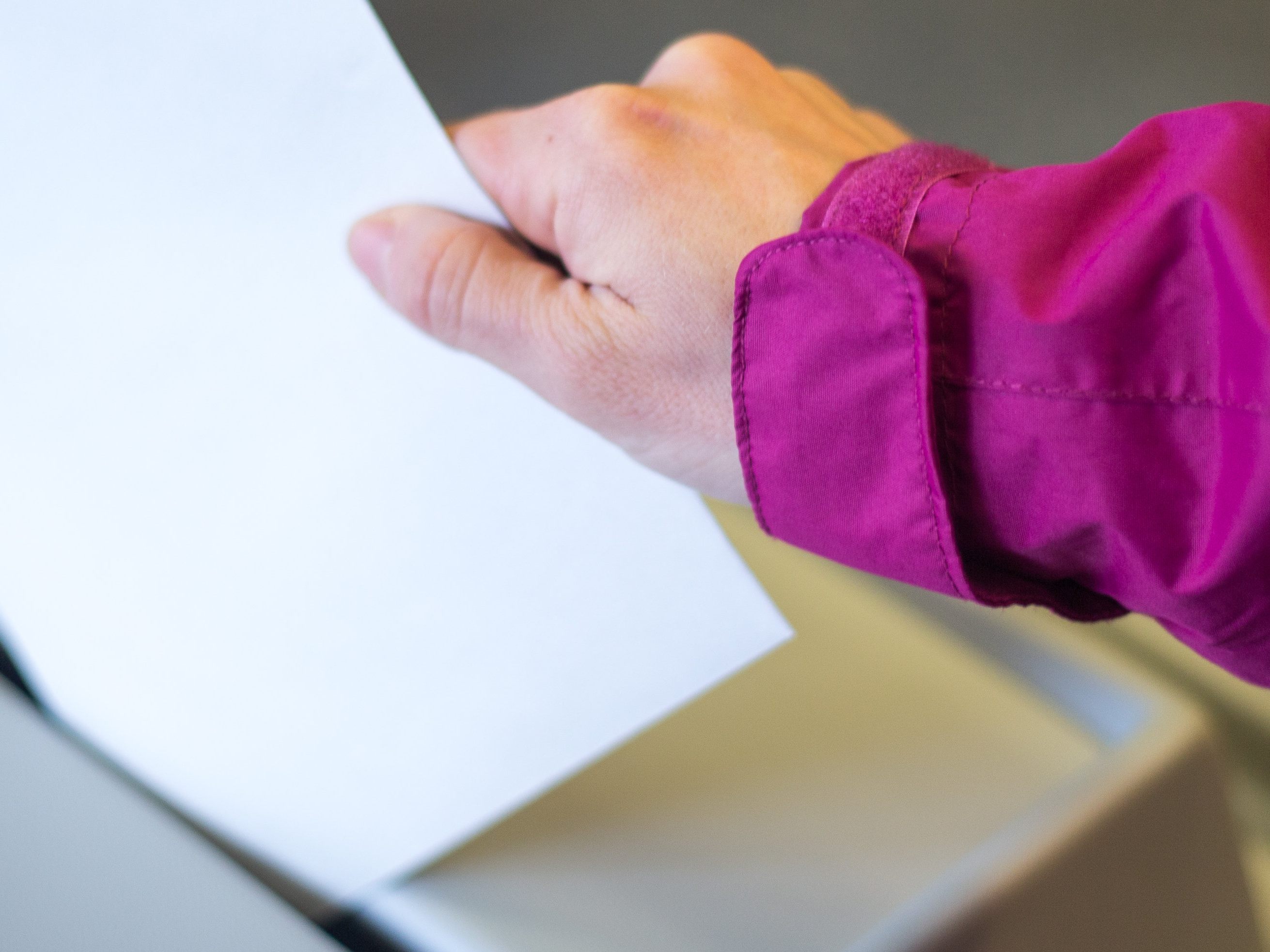 Die Grünen liegen bei der "Pass Egal Wahl" in Niederösterreich vor der SPÖ.