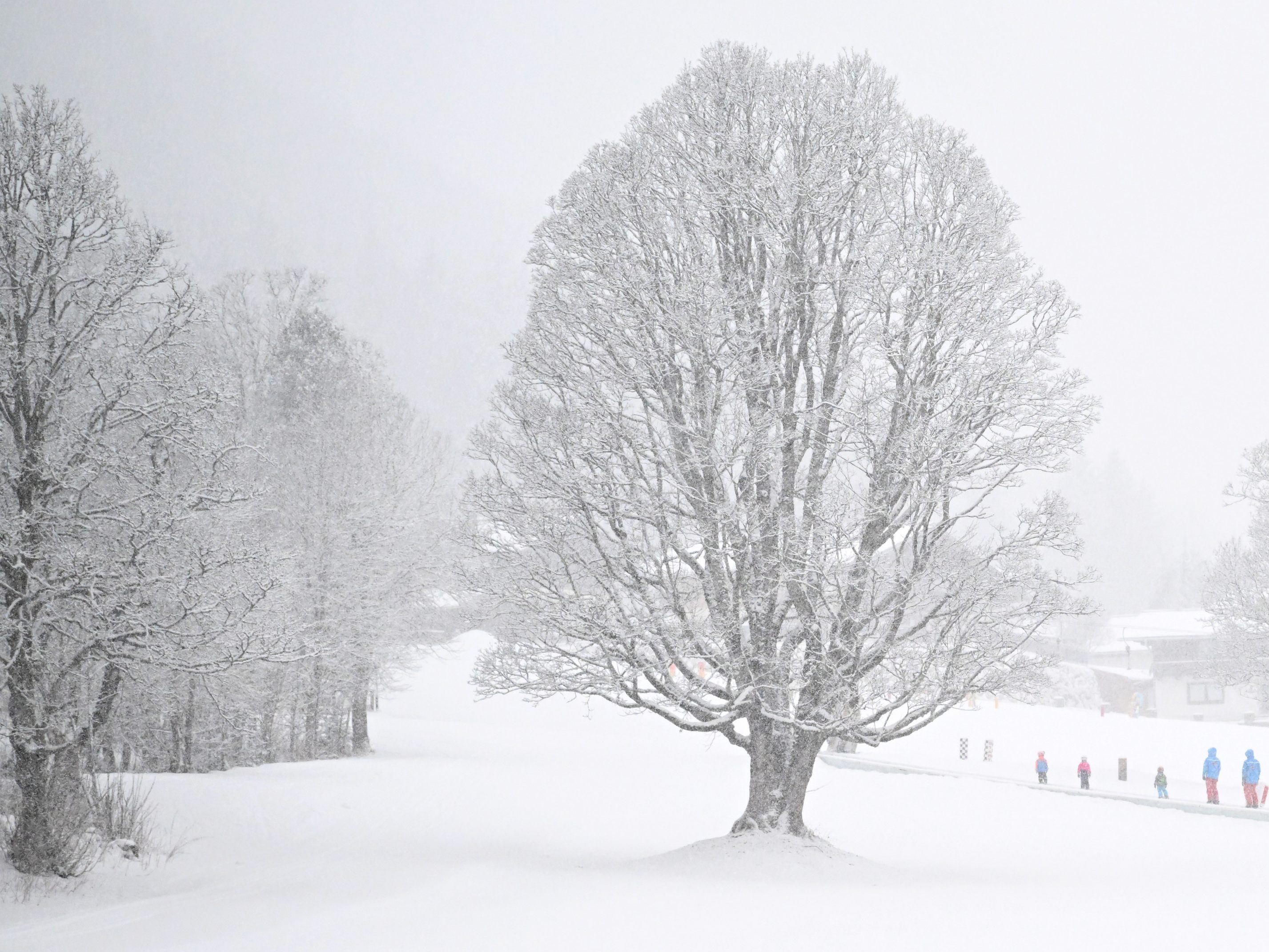 Wegen dem Schneefall sind rund 4.000 Haushalte in der Weststeiermark ohne Strom. Wegen dem Schneefall sind rund 4.000 Haushalte in der Weststeiermark ohne Strom.