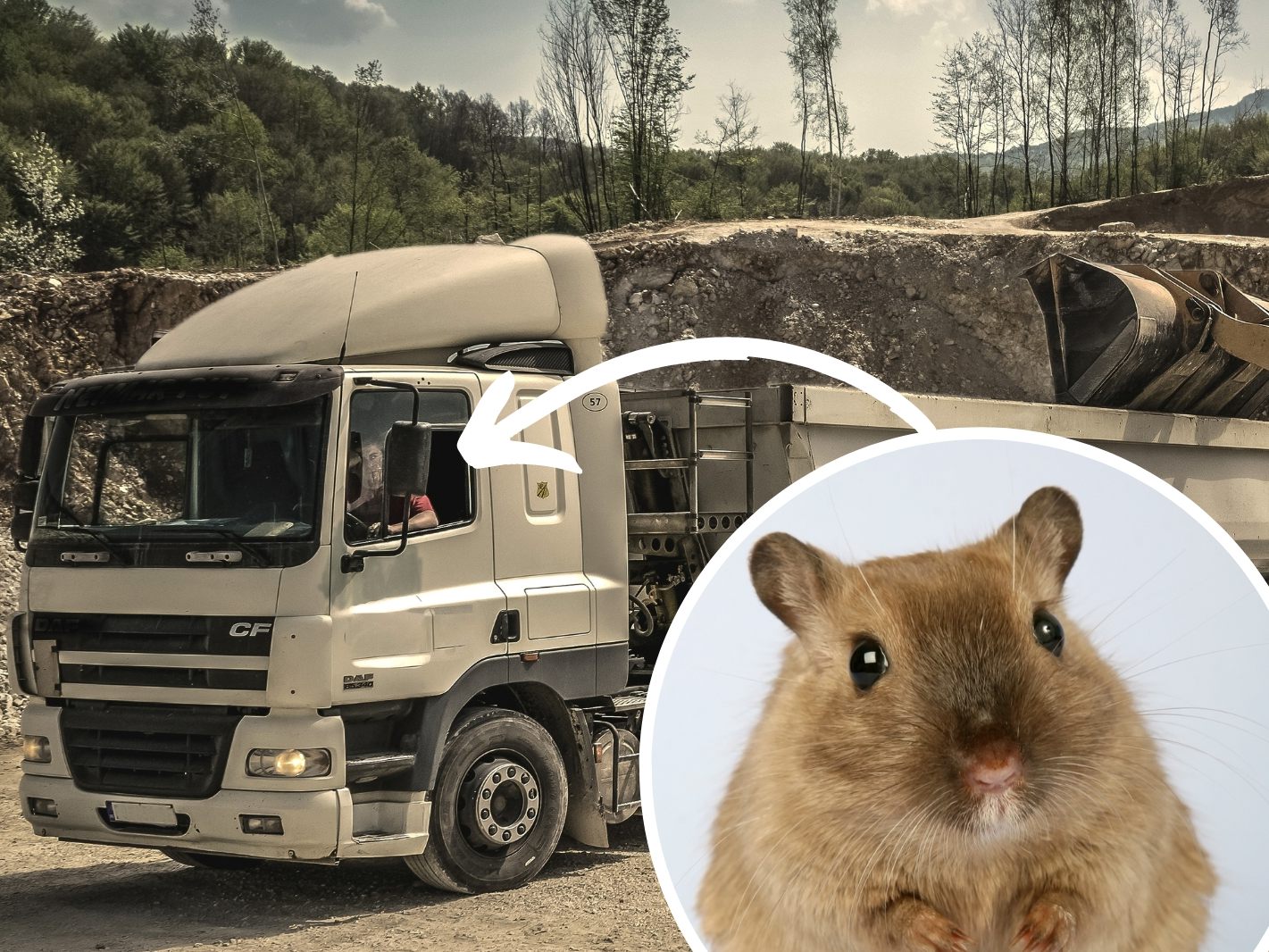 Der Hamster schaffte es den Lkw bis ins Ziel zu steuern.