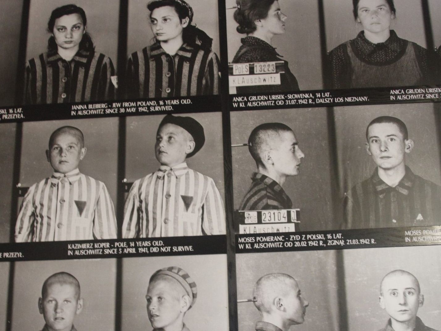 Das Wissen über den Holocaust scheint in den Niederlanden von Generation zu Generation zu schwinden.
