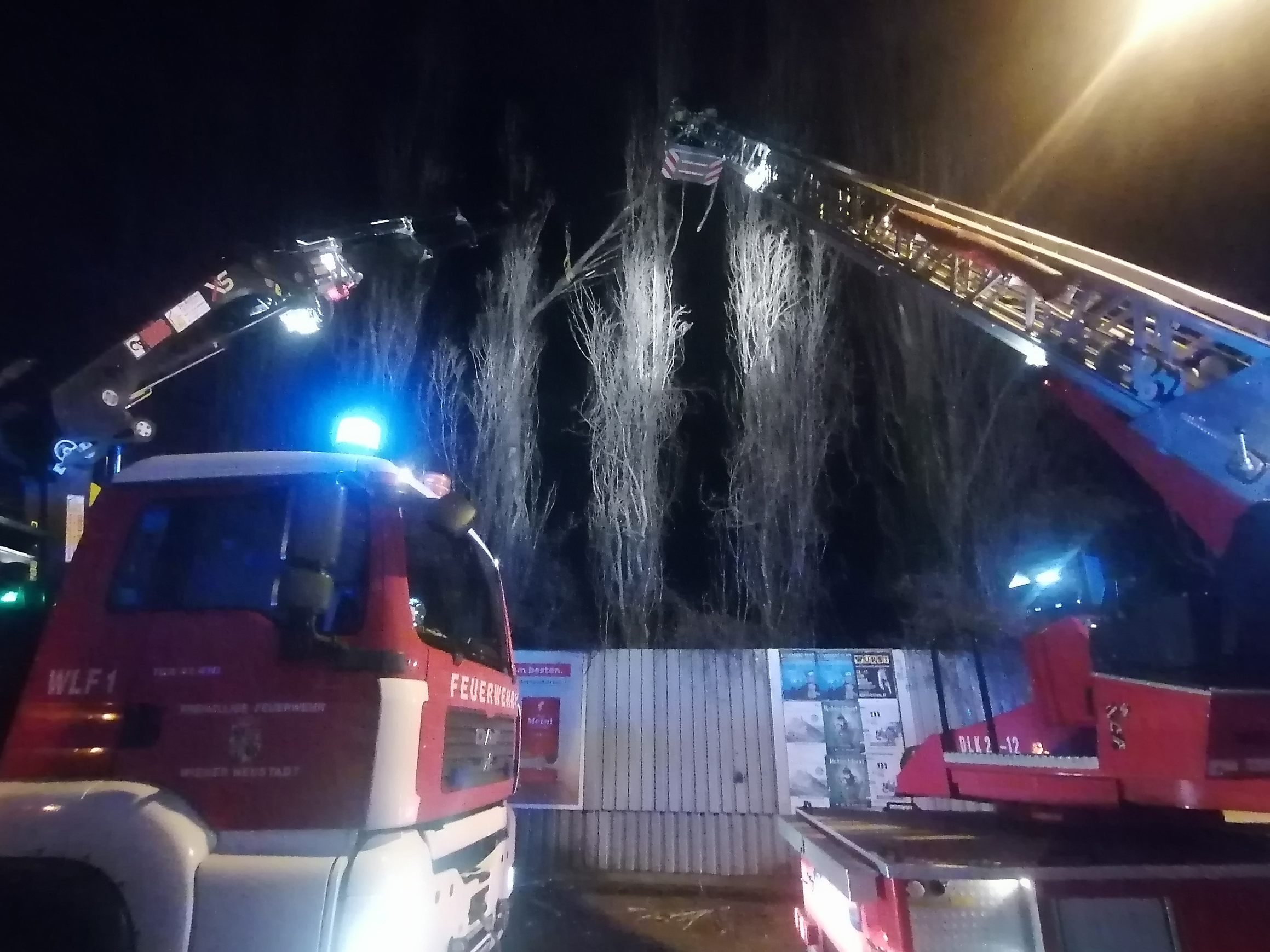 Die Freiwillige Feuerwehr Wiener Neustadt musste wegen des starken Windes am Dienstag zu mehreren Einsätzen ausrücken.