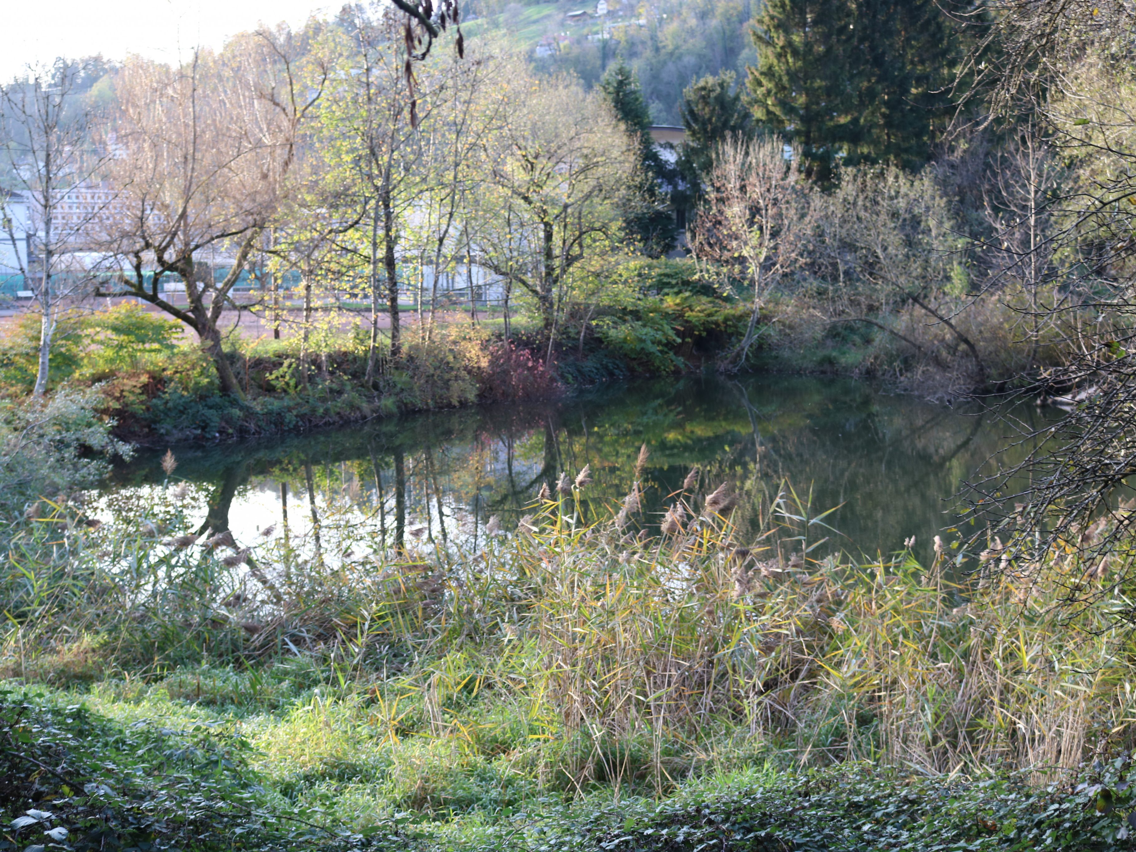 Levner Weiher